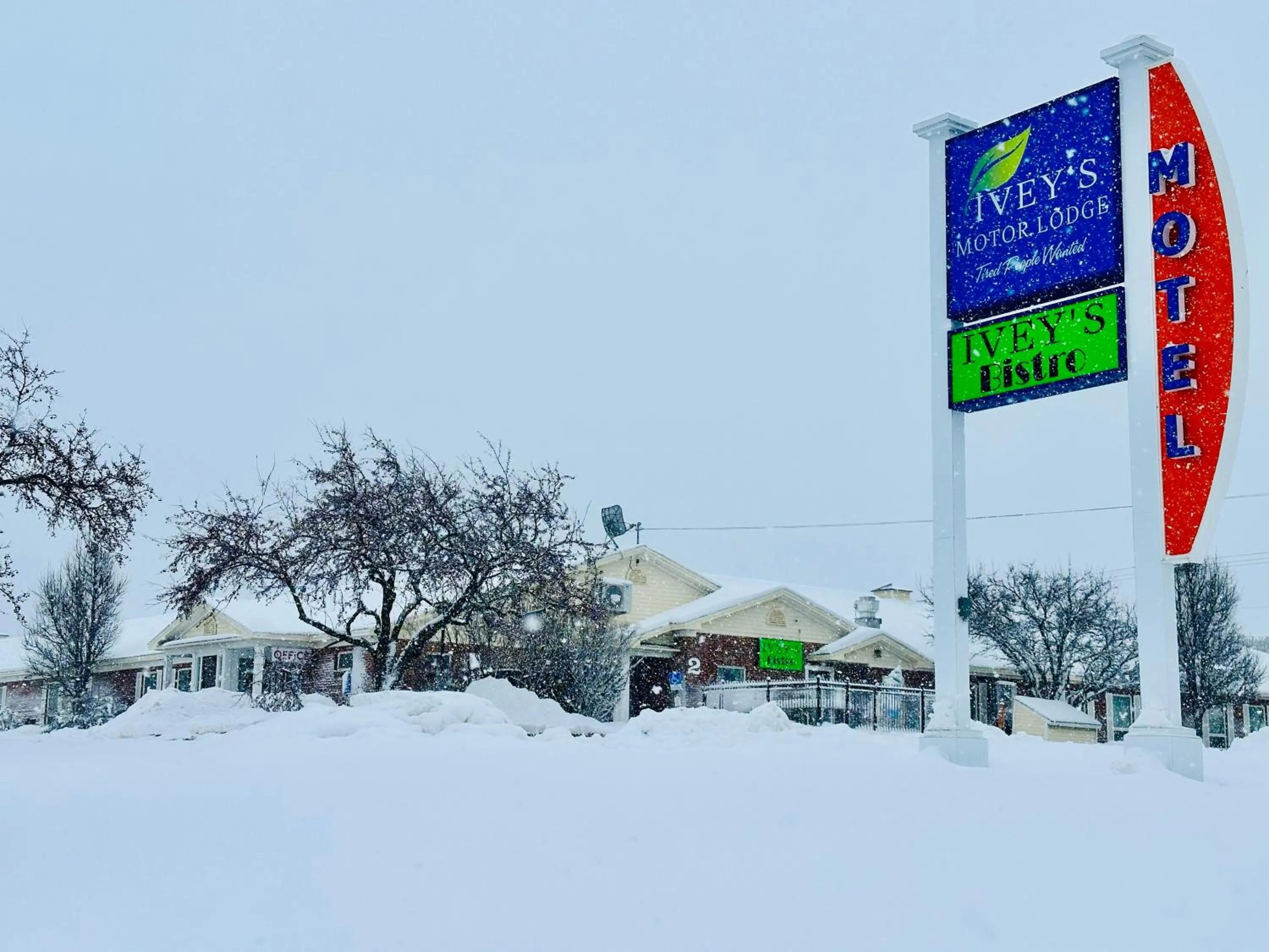 Winter in Ivey's Motor Lodge