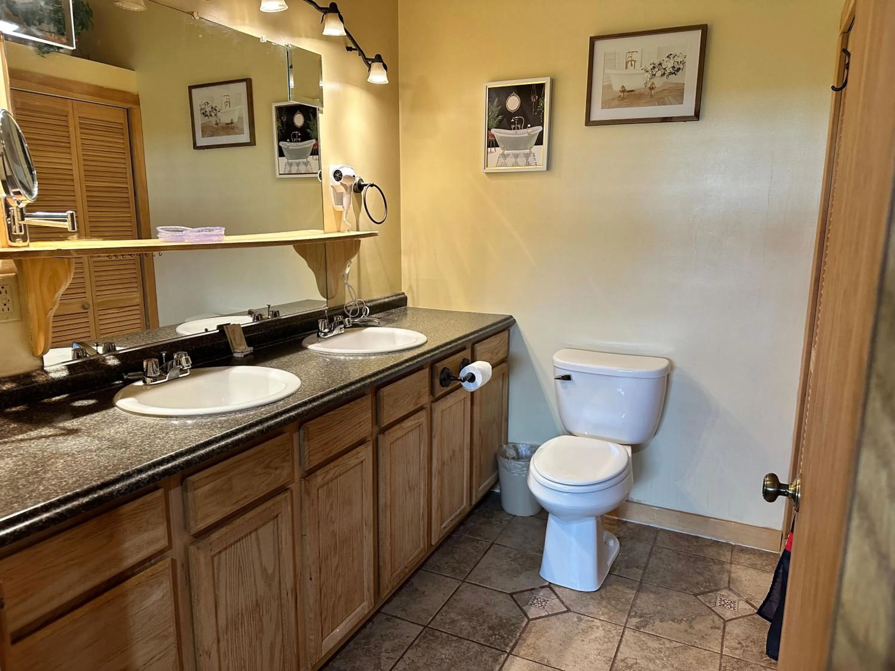 Toilet in Ivey's Motor Lodge