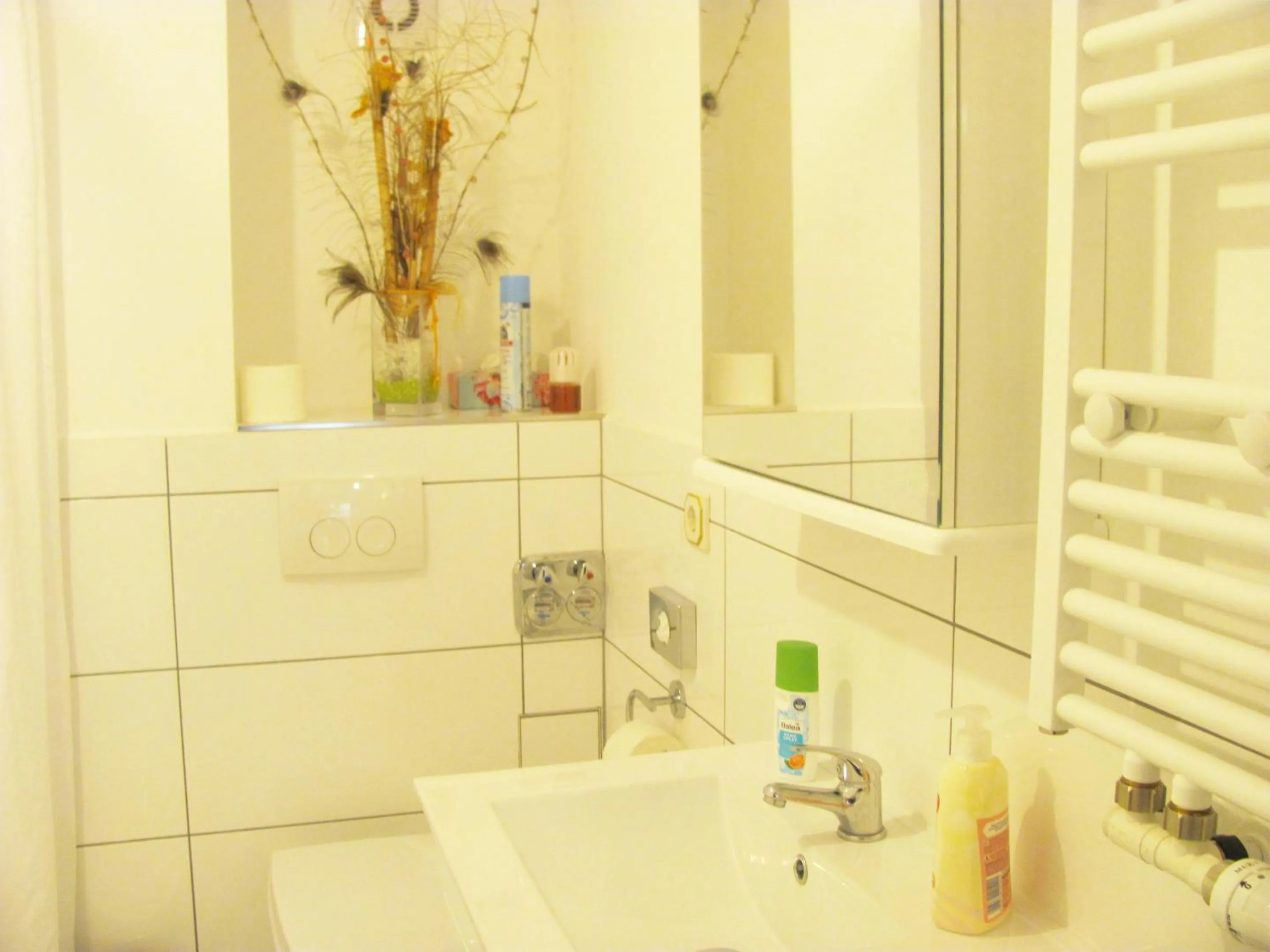 Bathroom in Apartment Storchenfärbe