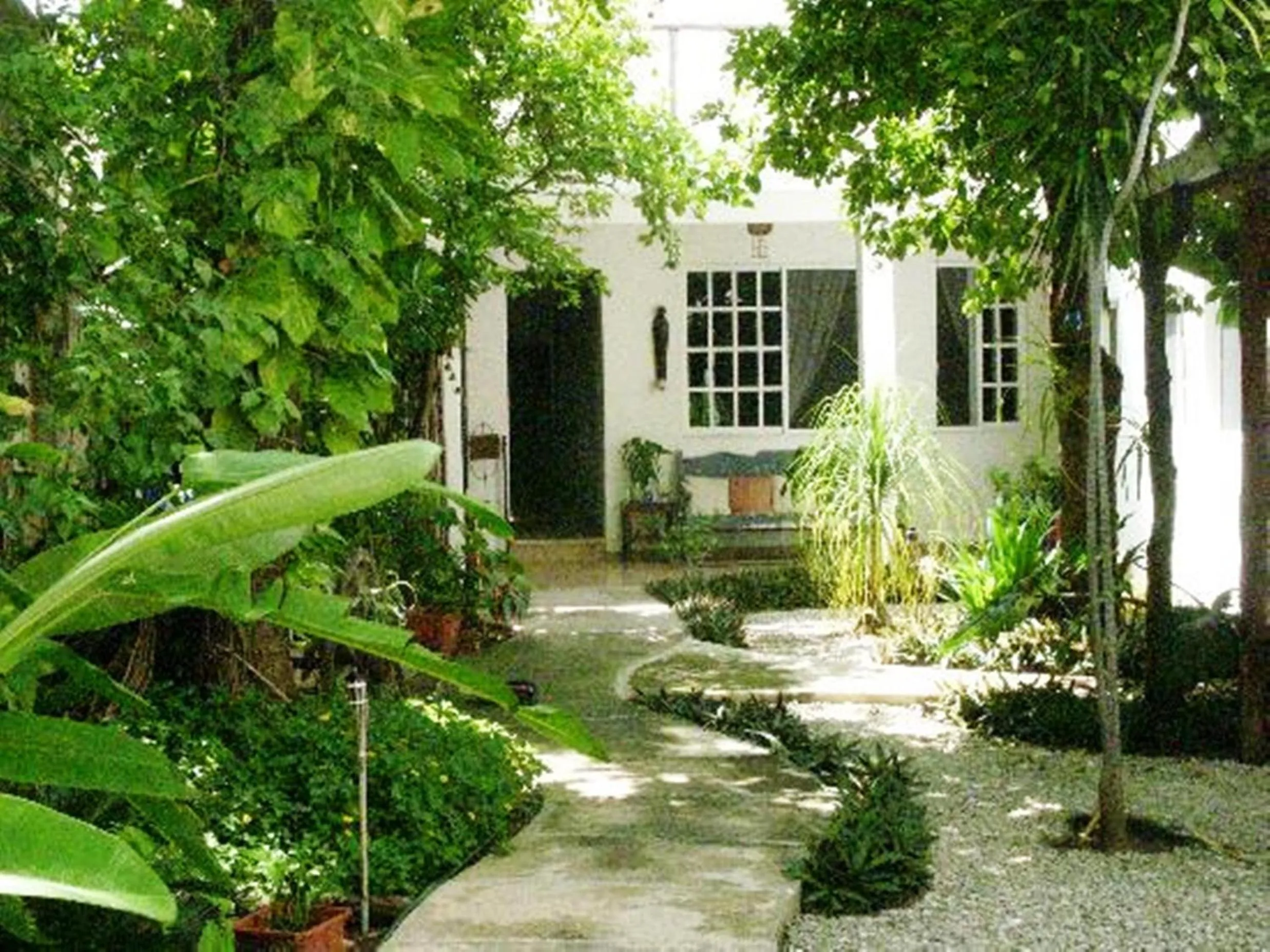 Garden in Villa Escondida Guest House Cozumel Downtown