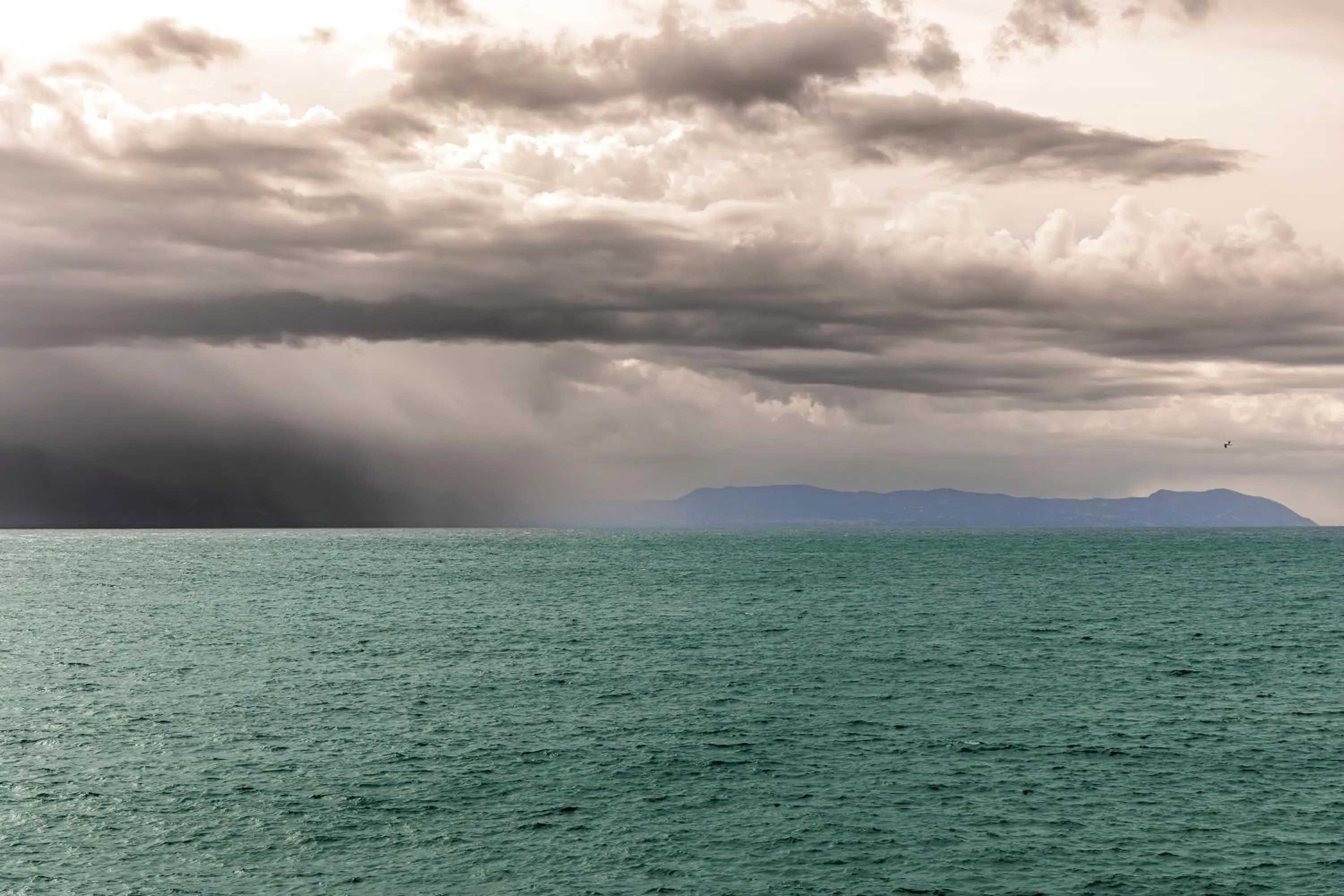 Activities in casajammone naples b&b