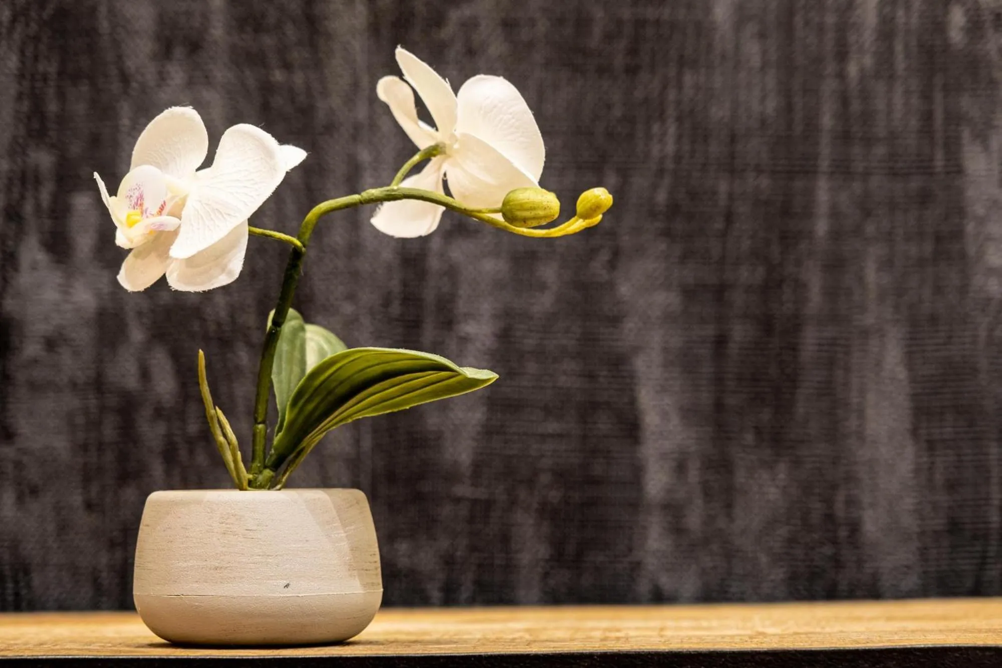 Decorative detail in casajammone naples b&b