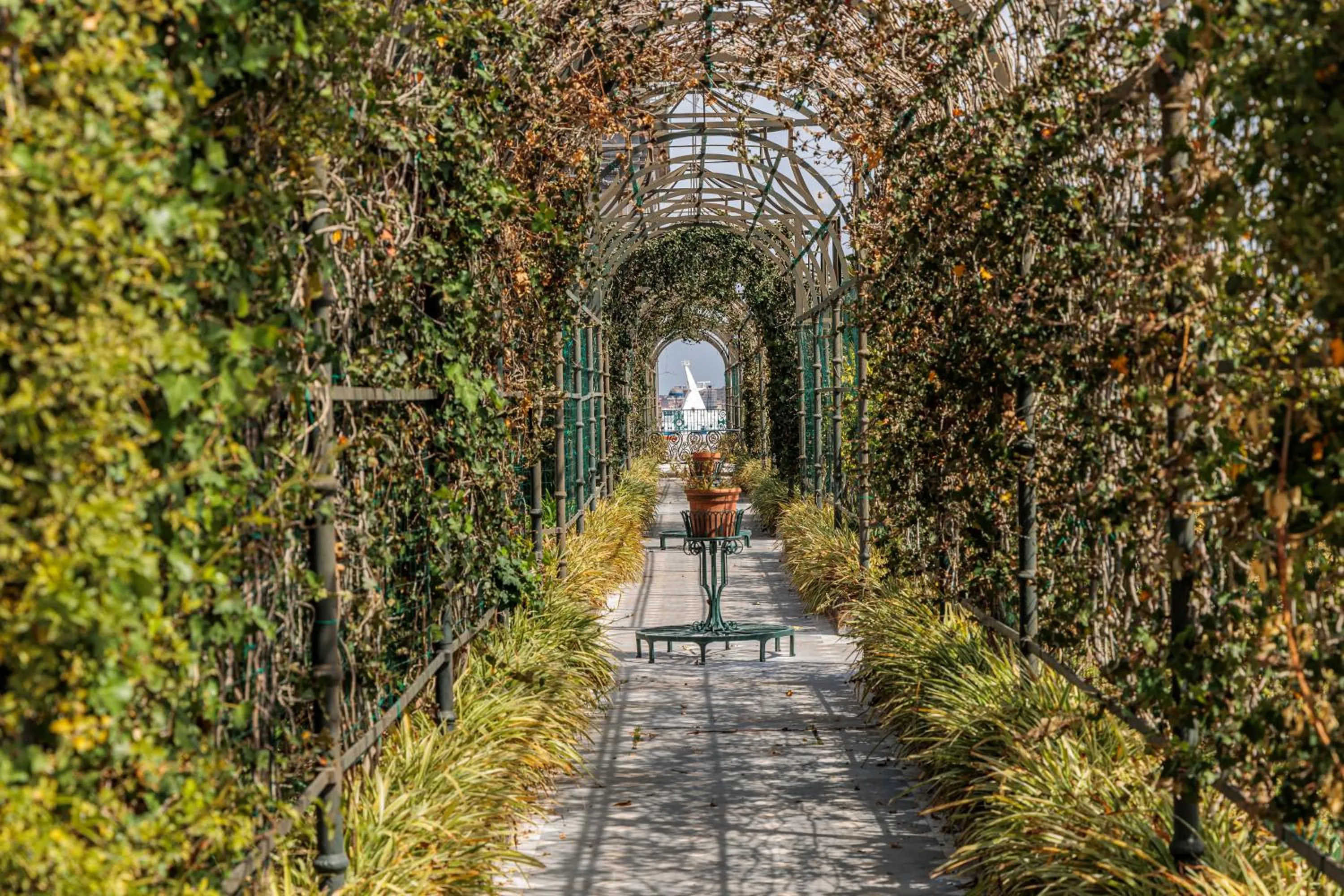 Activities in casajammone naples b&b