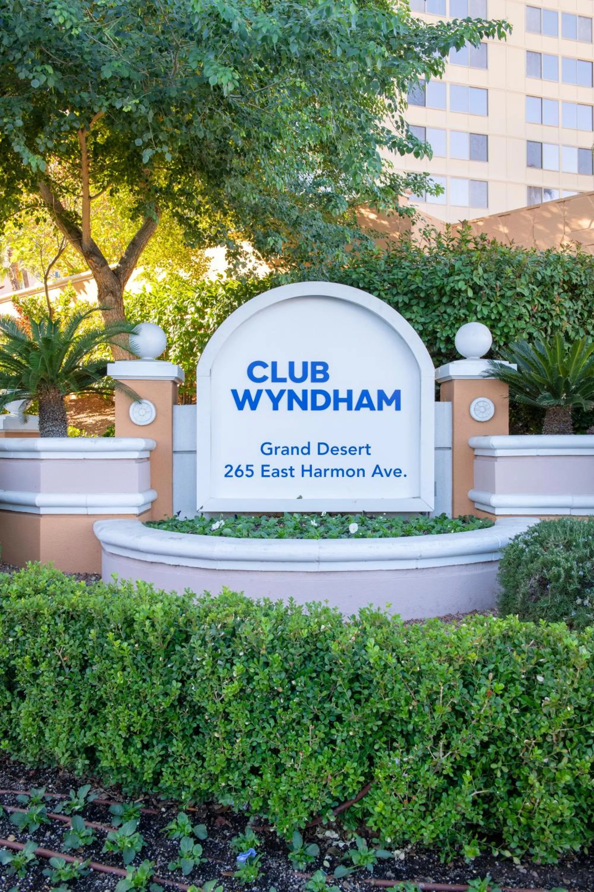 Other in Club Wyndham Grand Desert