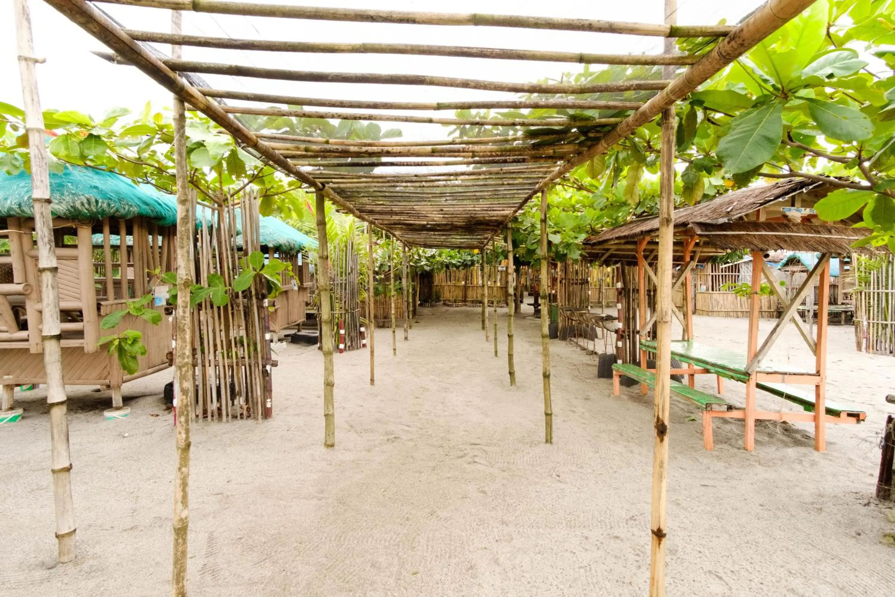 Property building in RedDoorz @ Prince JB Beach Resort Zambales