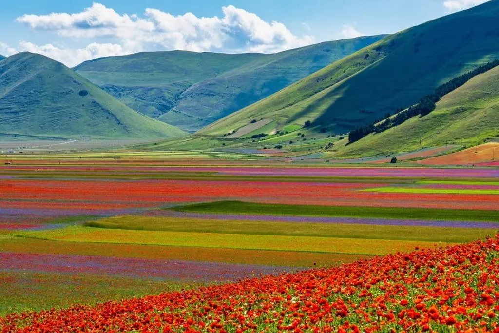 Hotel Ristorante Da Roverino