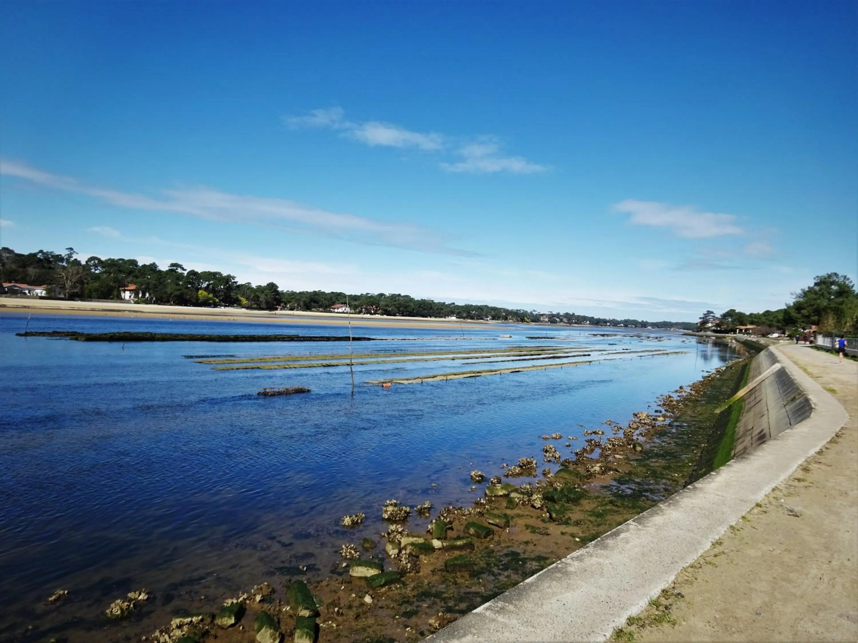 Lake view in Hotel Le Pavillon Bleu