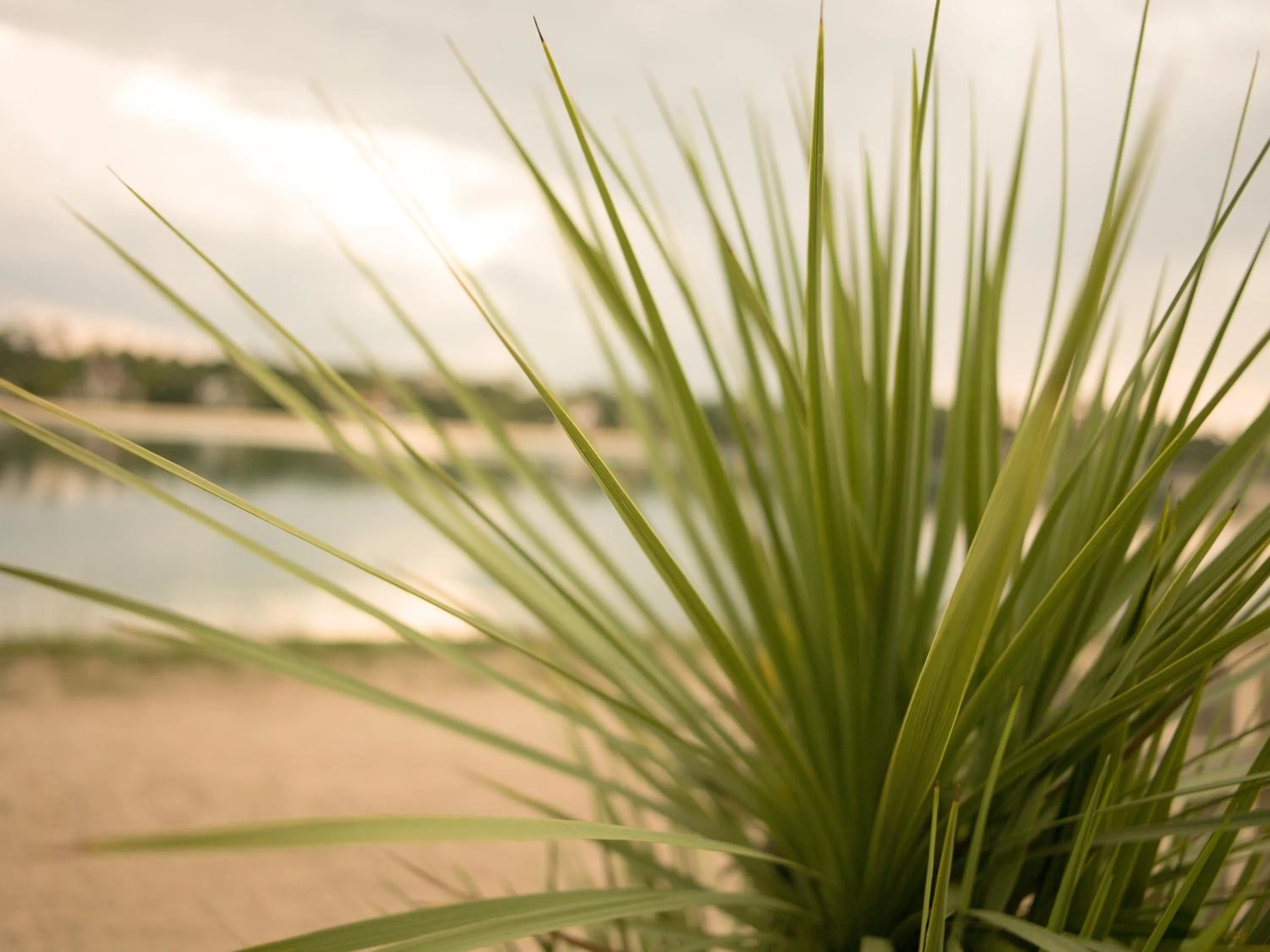 Day in Hotel Le Pavillon Bleu