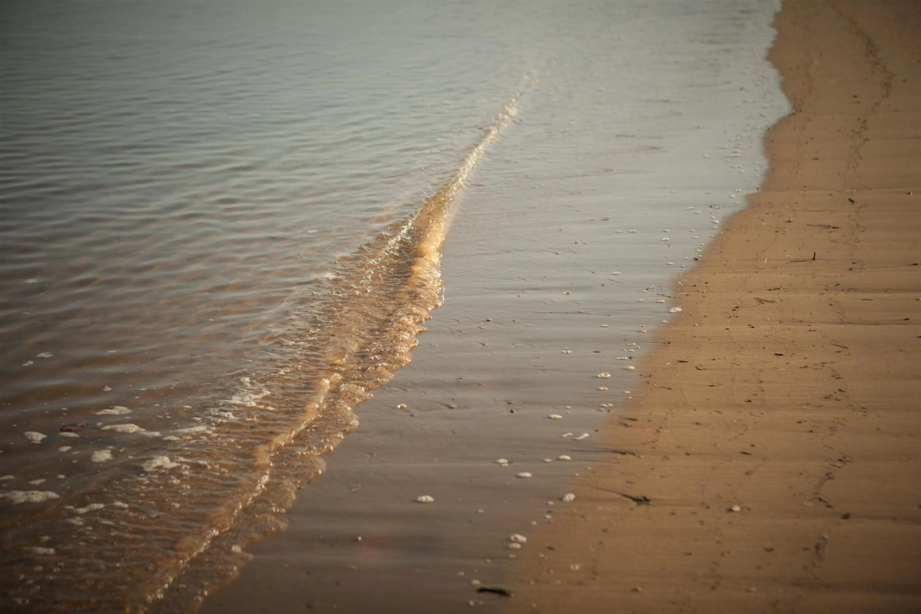Natural landscape in Hotel Le Pavillon Bleu