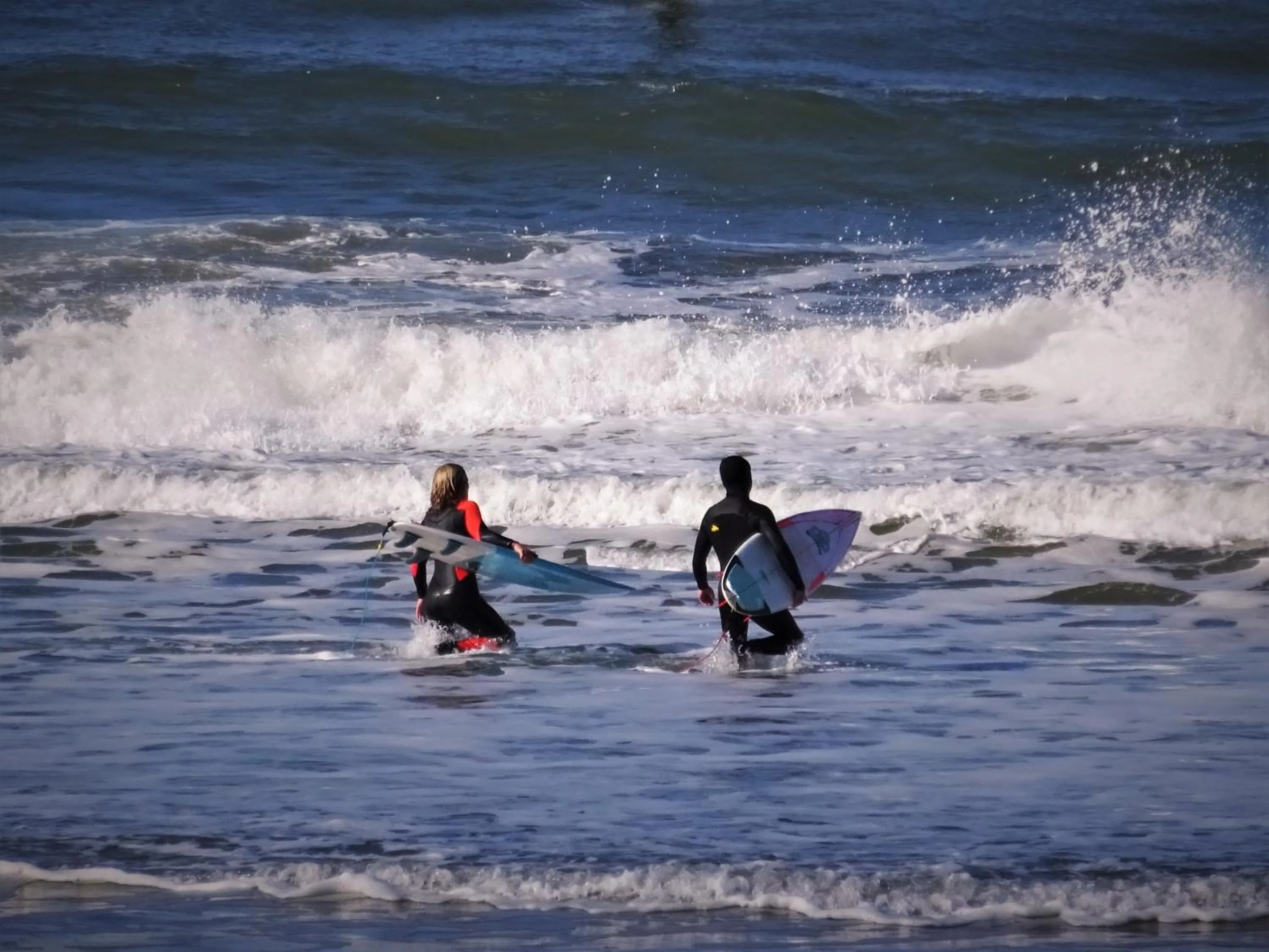 Natural landscape in Hotel Le Pavillon Bleu