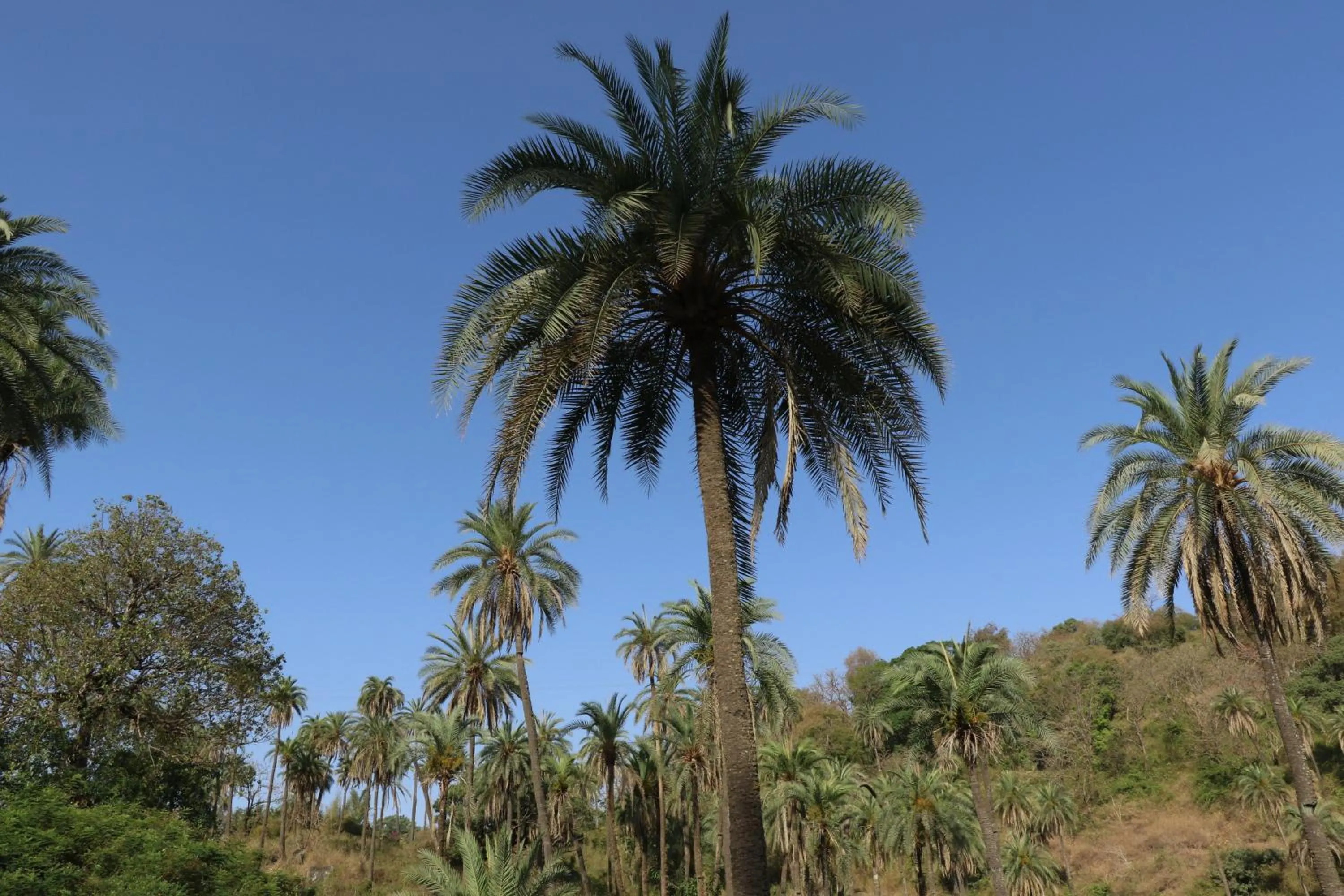 Other in Hari Niwas - A Boutique Garden Resort Mount Abu