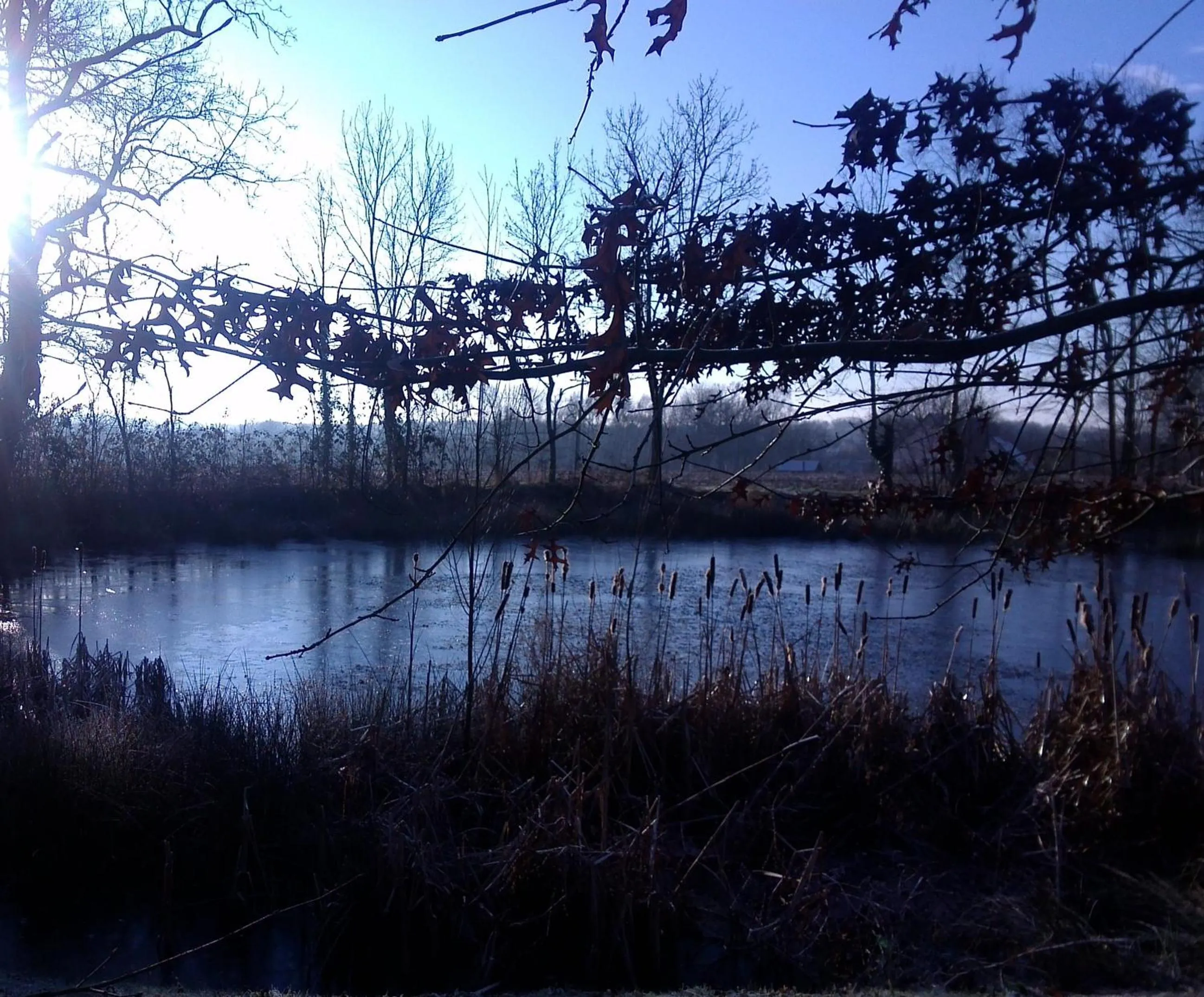 Spring in Chambres d'hôtes La Tribu