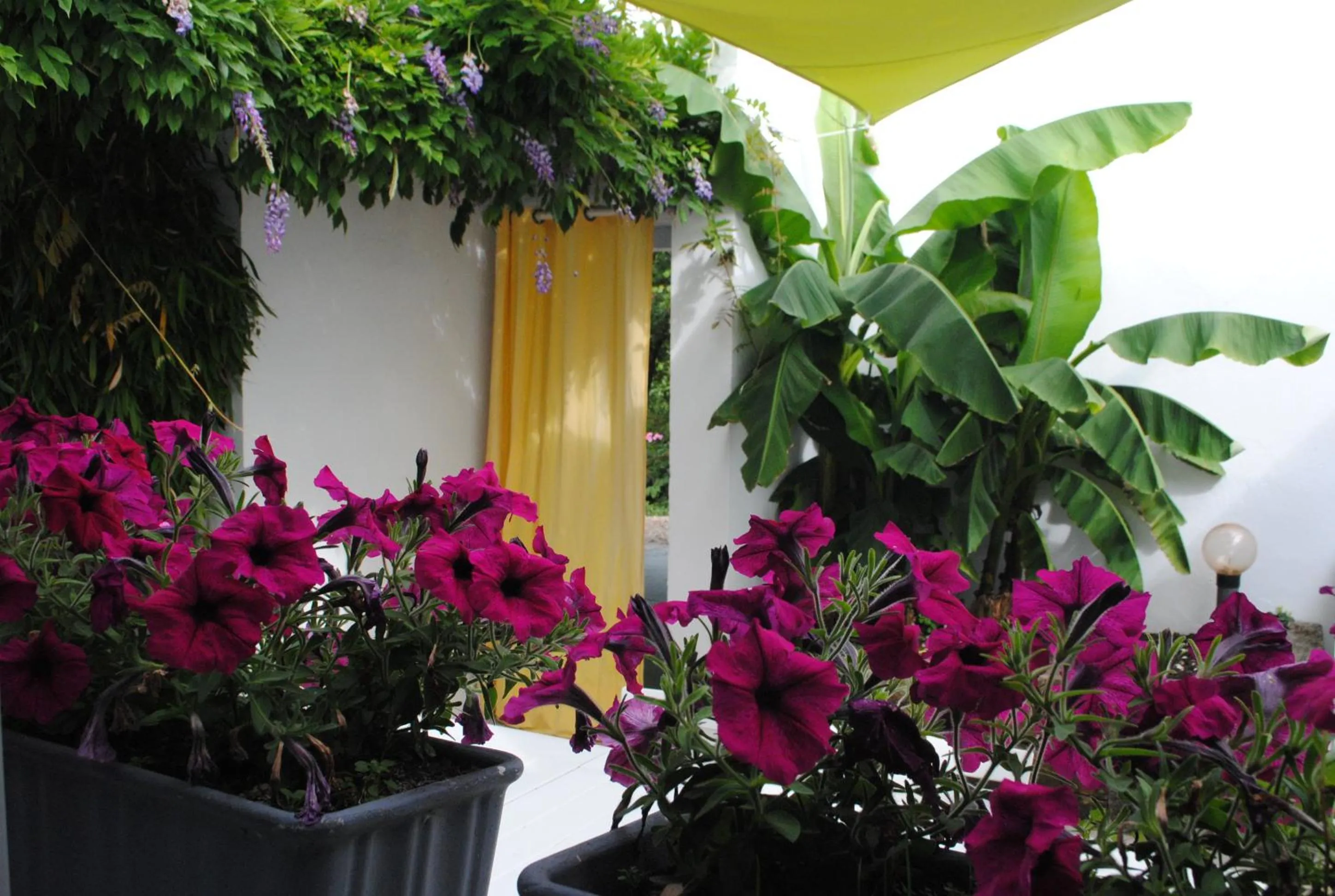 Chambres d'hôtes La Tribu