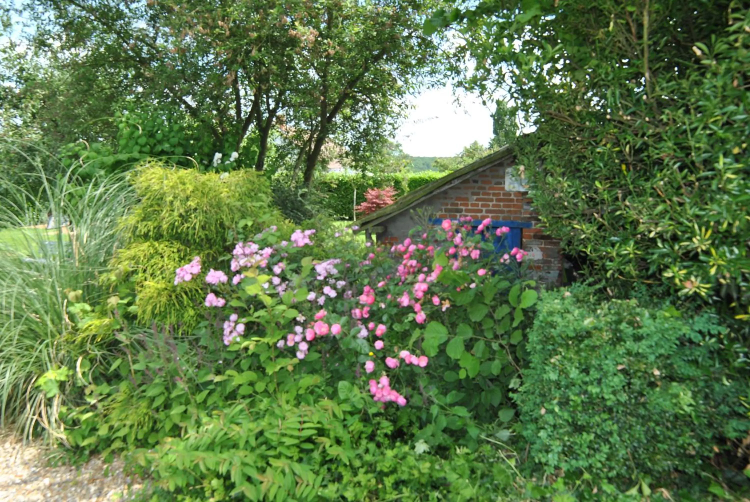 Garden in Chambres d'hôtes La Tribu