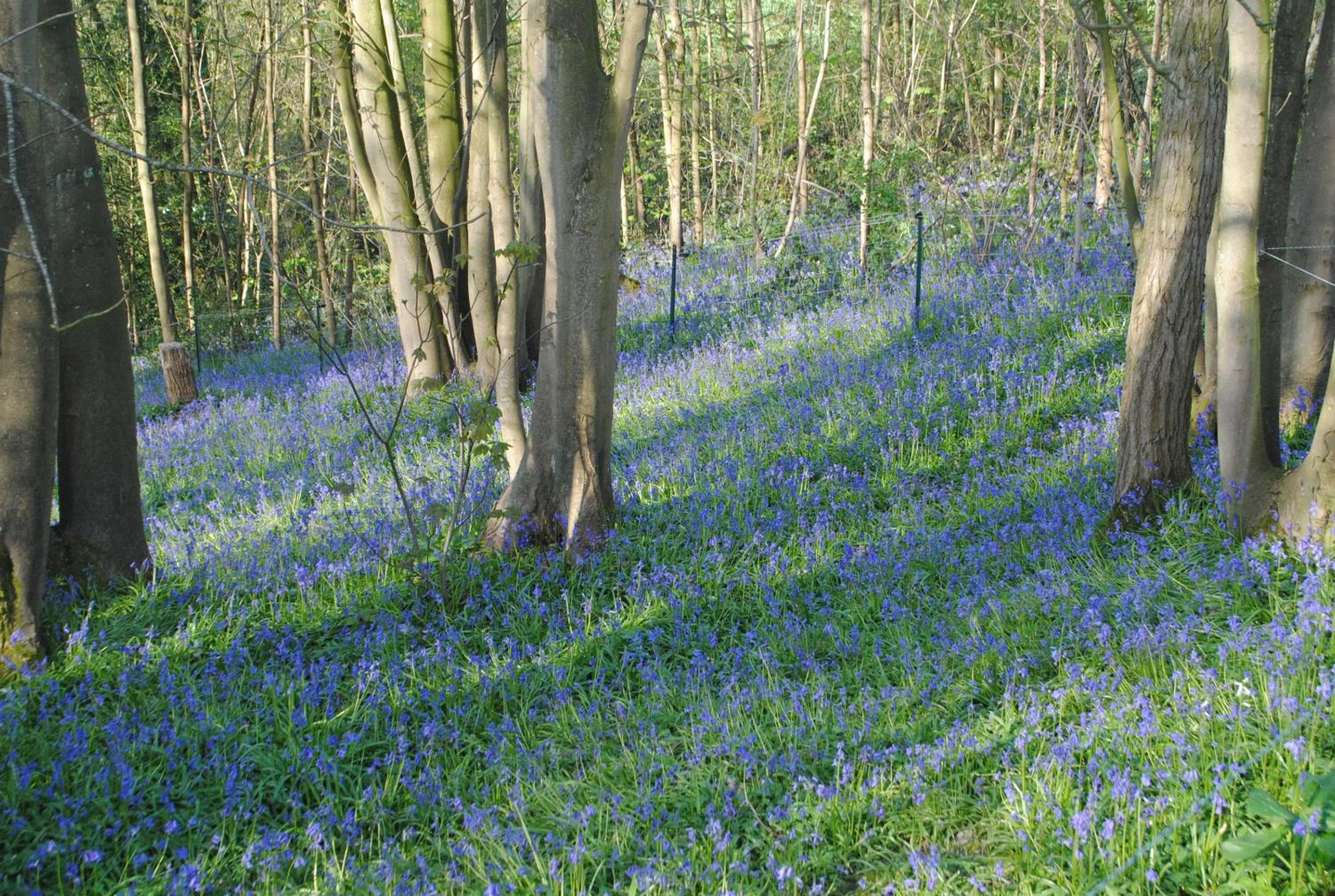 Nearby landmark in Chambres d'hôtes La Tribu