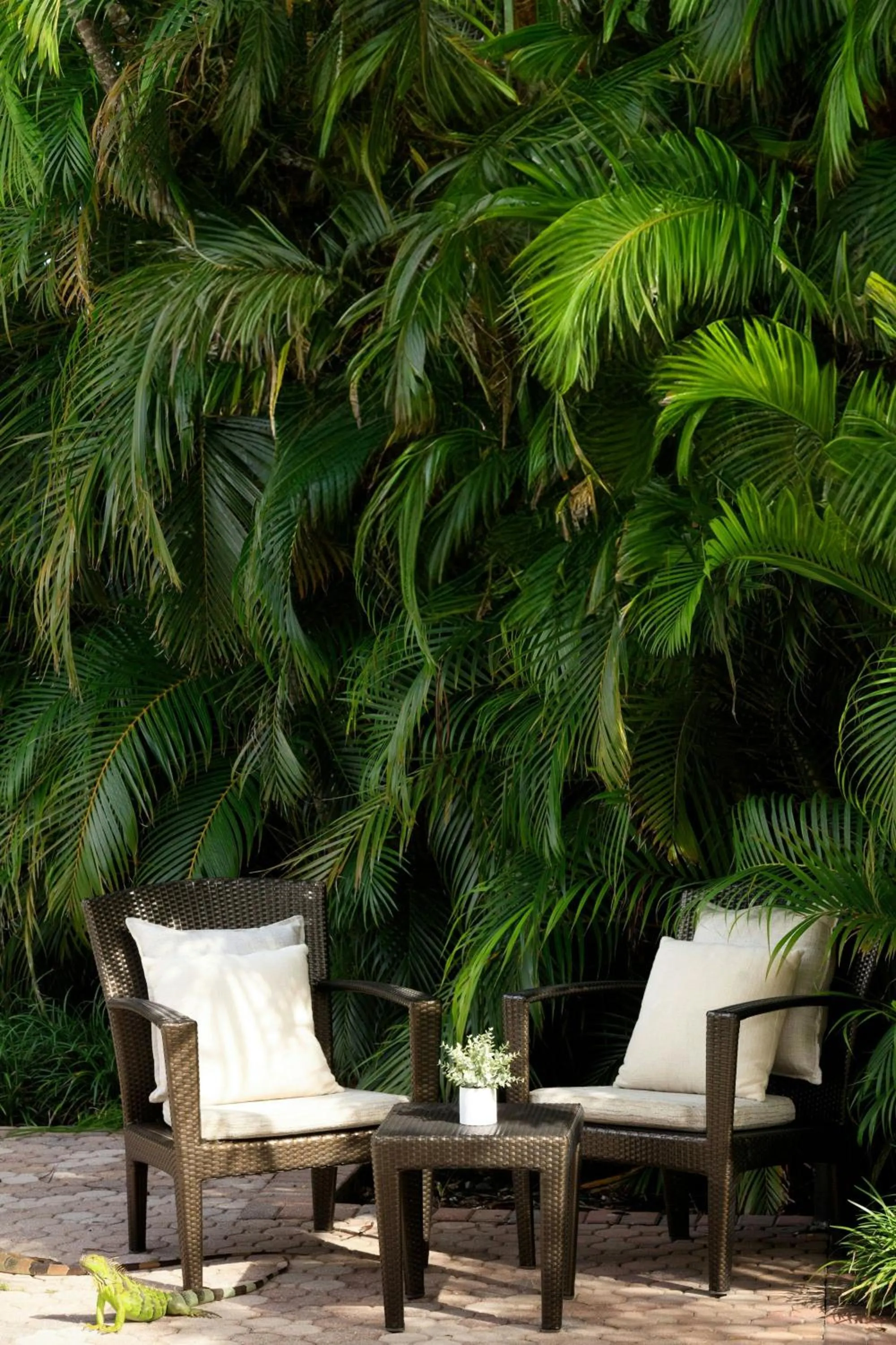 Swimming pool in The Westin Fort Lauderdale