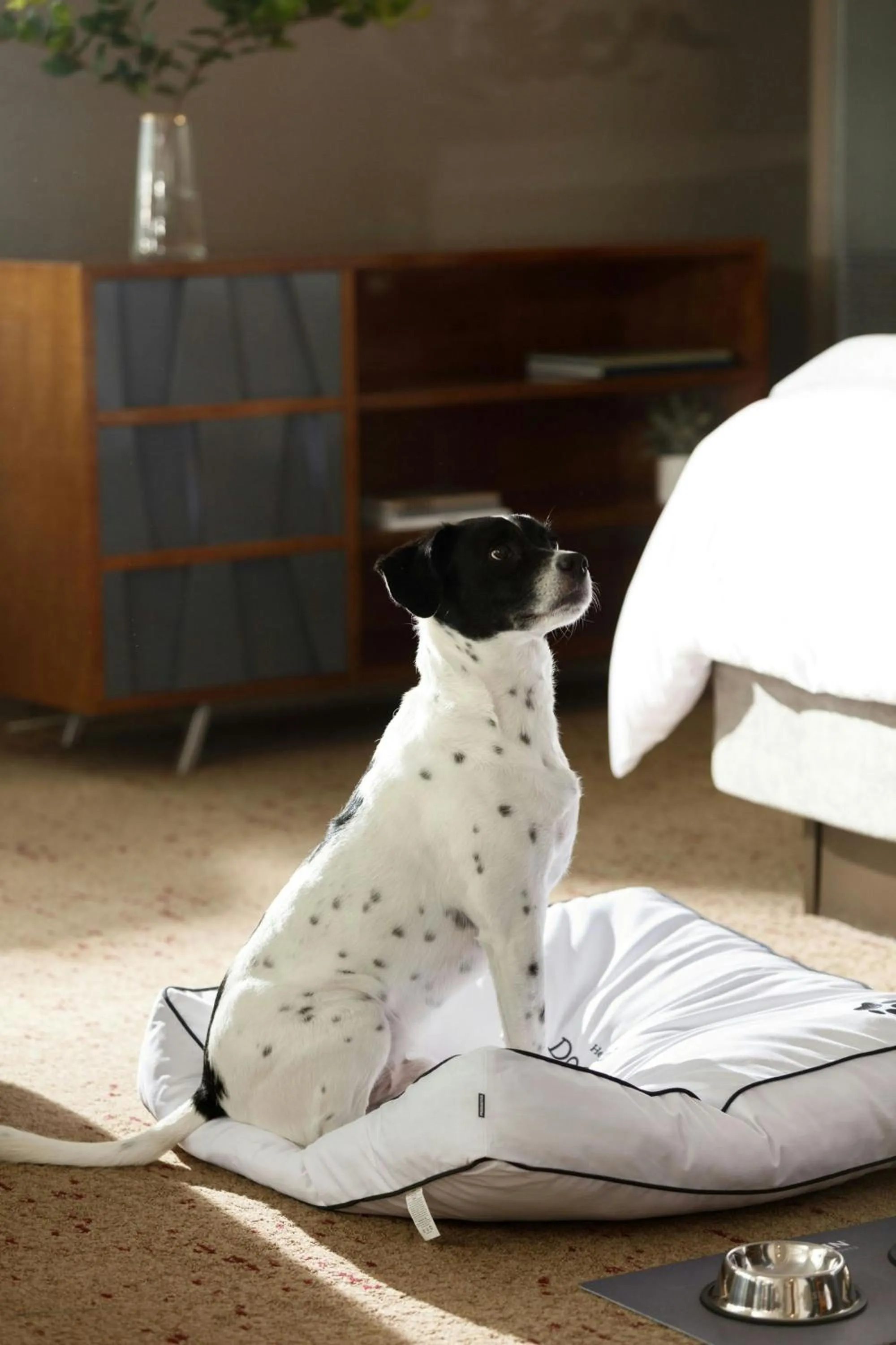 Other in The Westin Fort Lauderdale