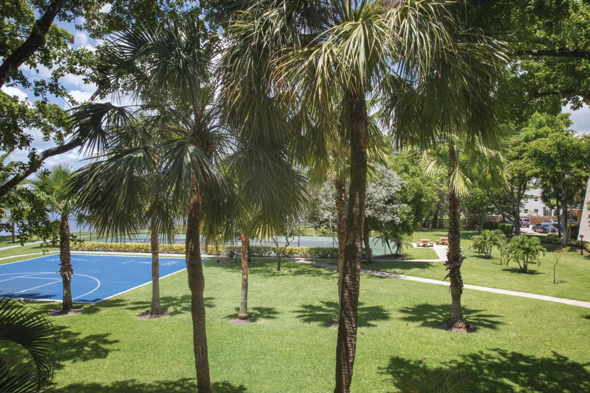 Sports in Club Wyndham Palm-Aire