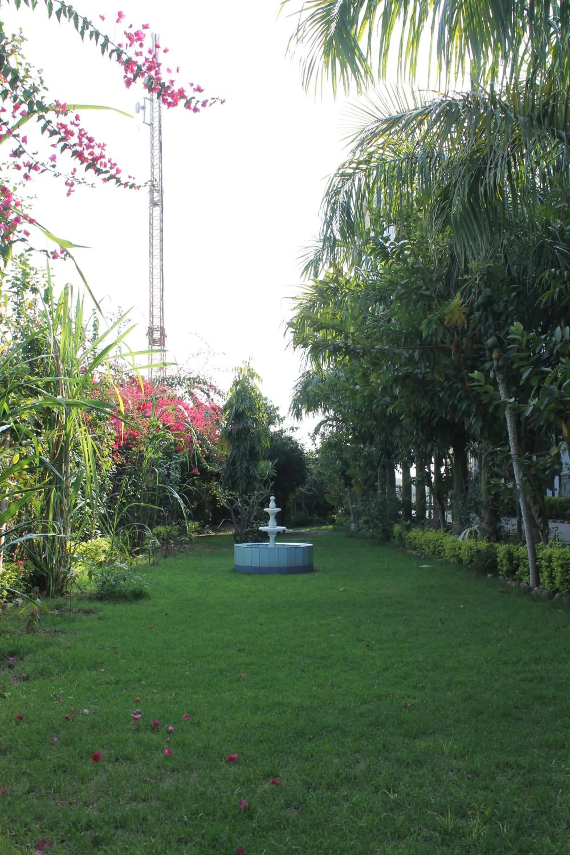 Garden in Hotel isabel Palace