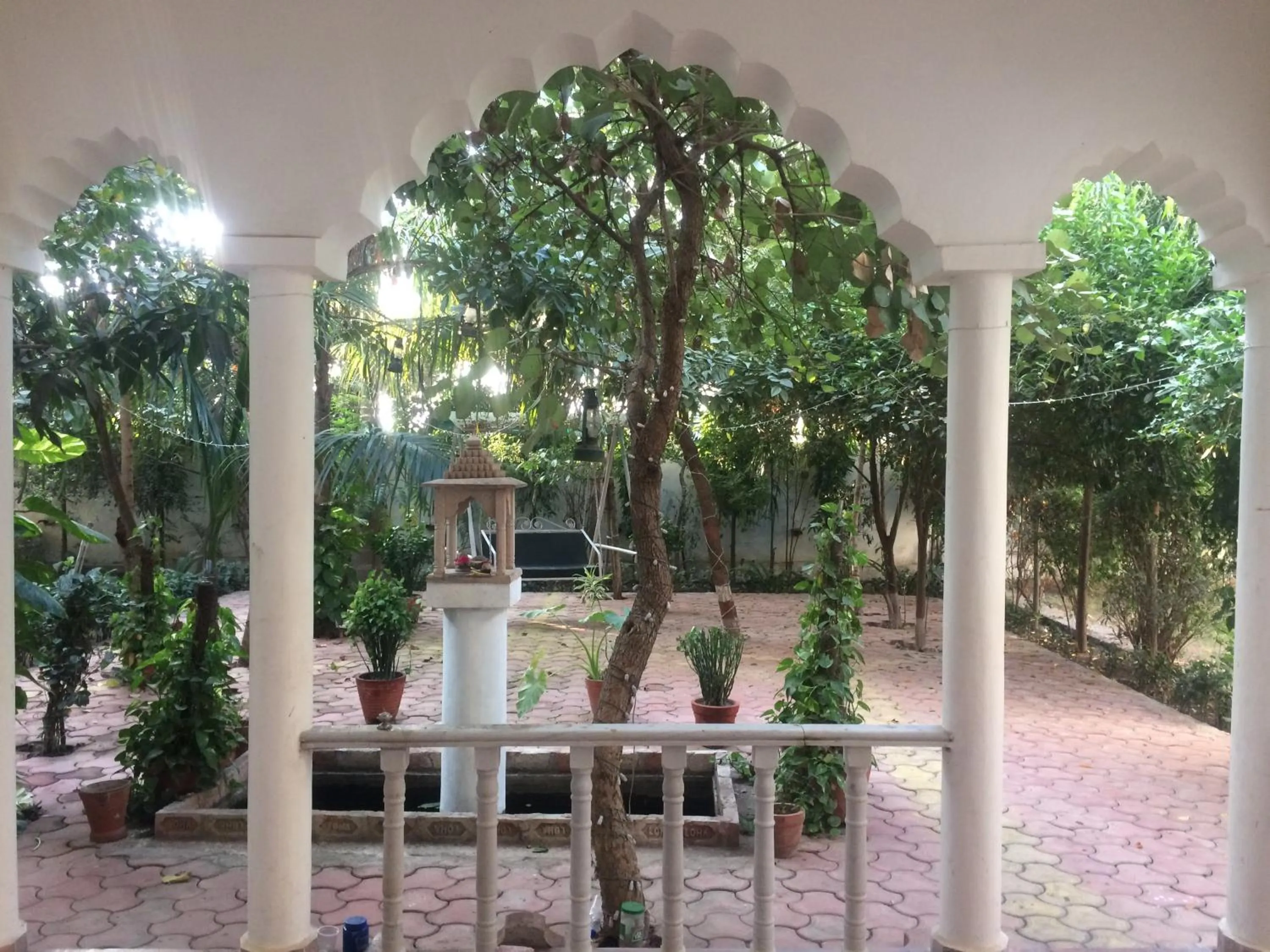 Garden in Hotel isabel Palace