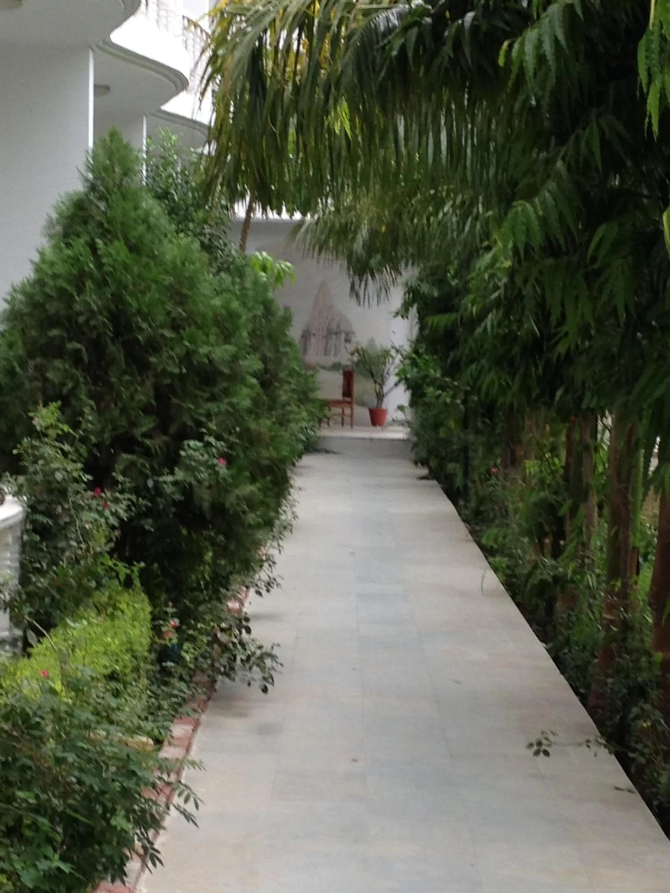 Garden in Hotel isabel Palace