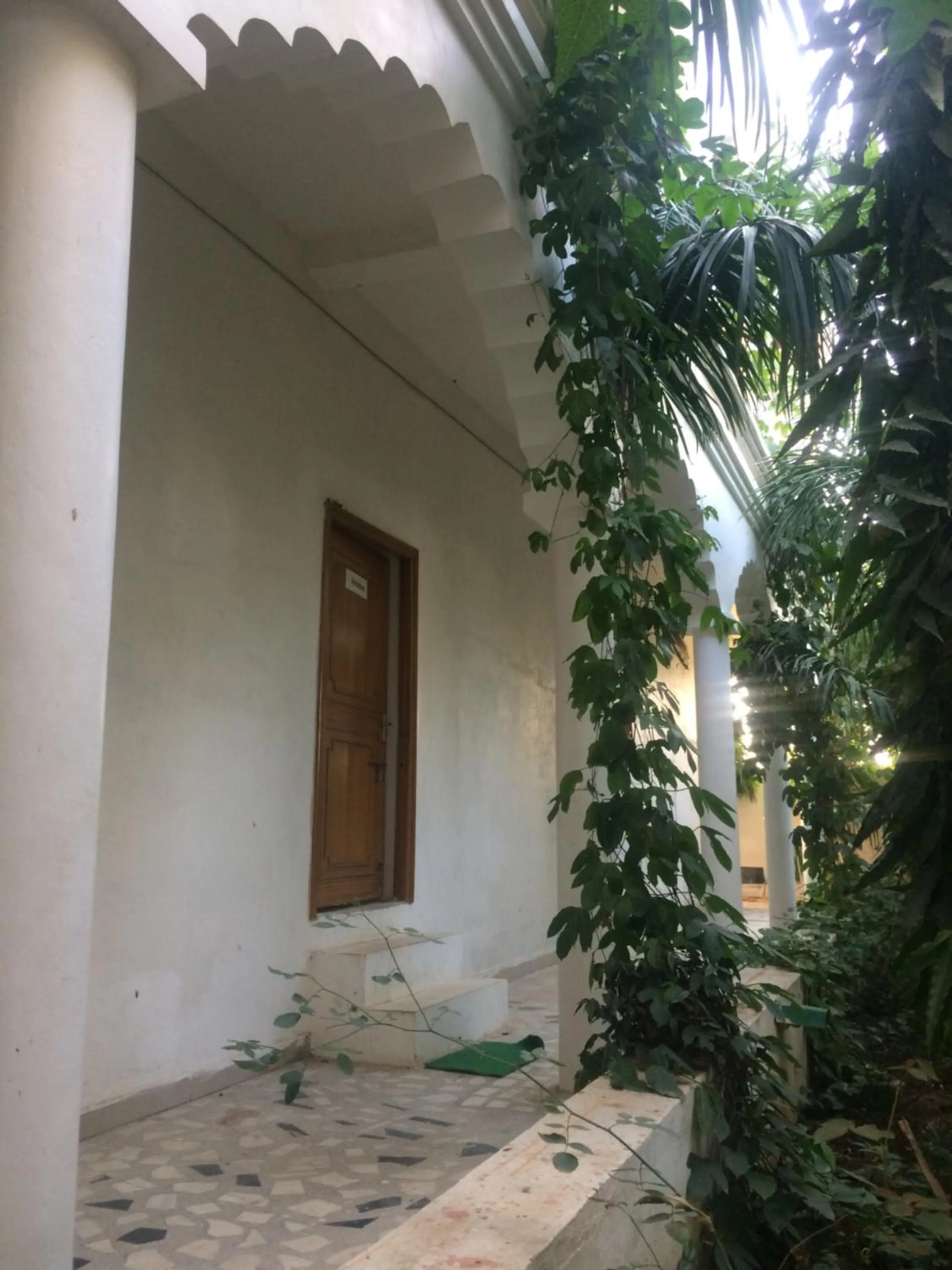 Garden in Hotel isabel Palace