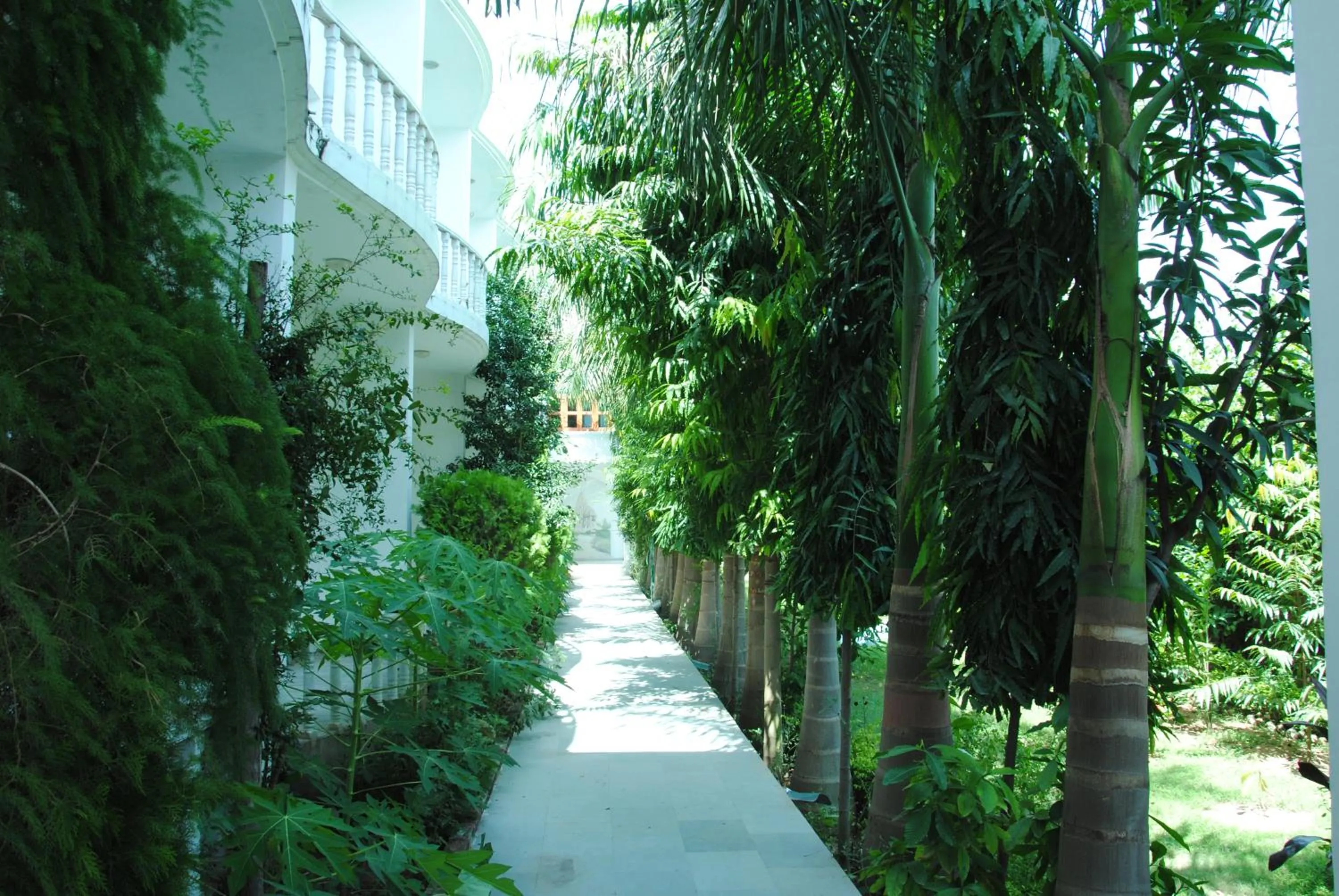 Garden in Hotel isabel Palace