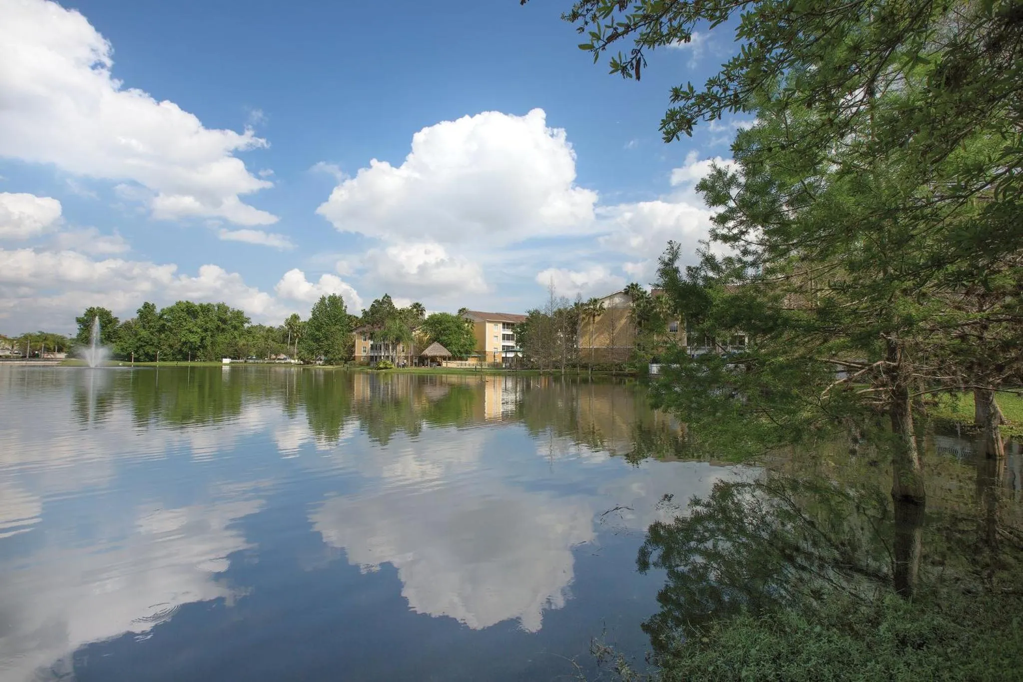 Lake view in Club Wyndham Cypress Palms