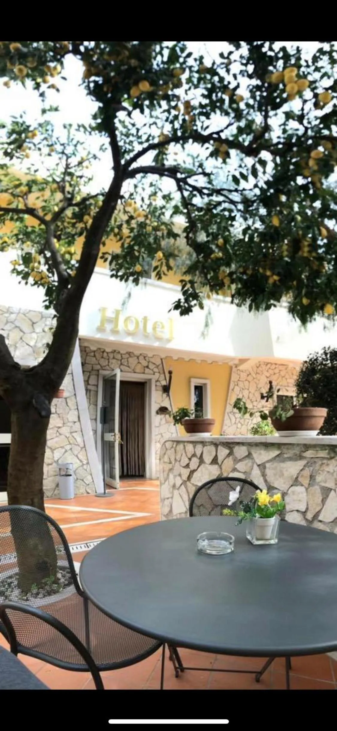 Balcony/Terrace in Yellow Park Hotel