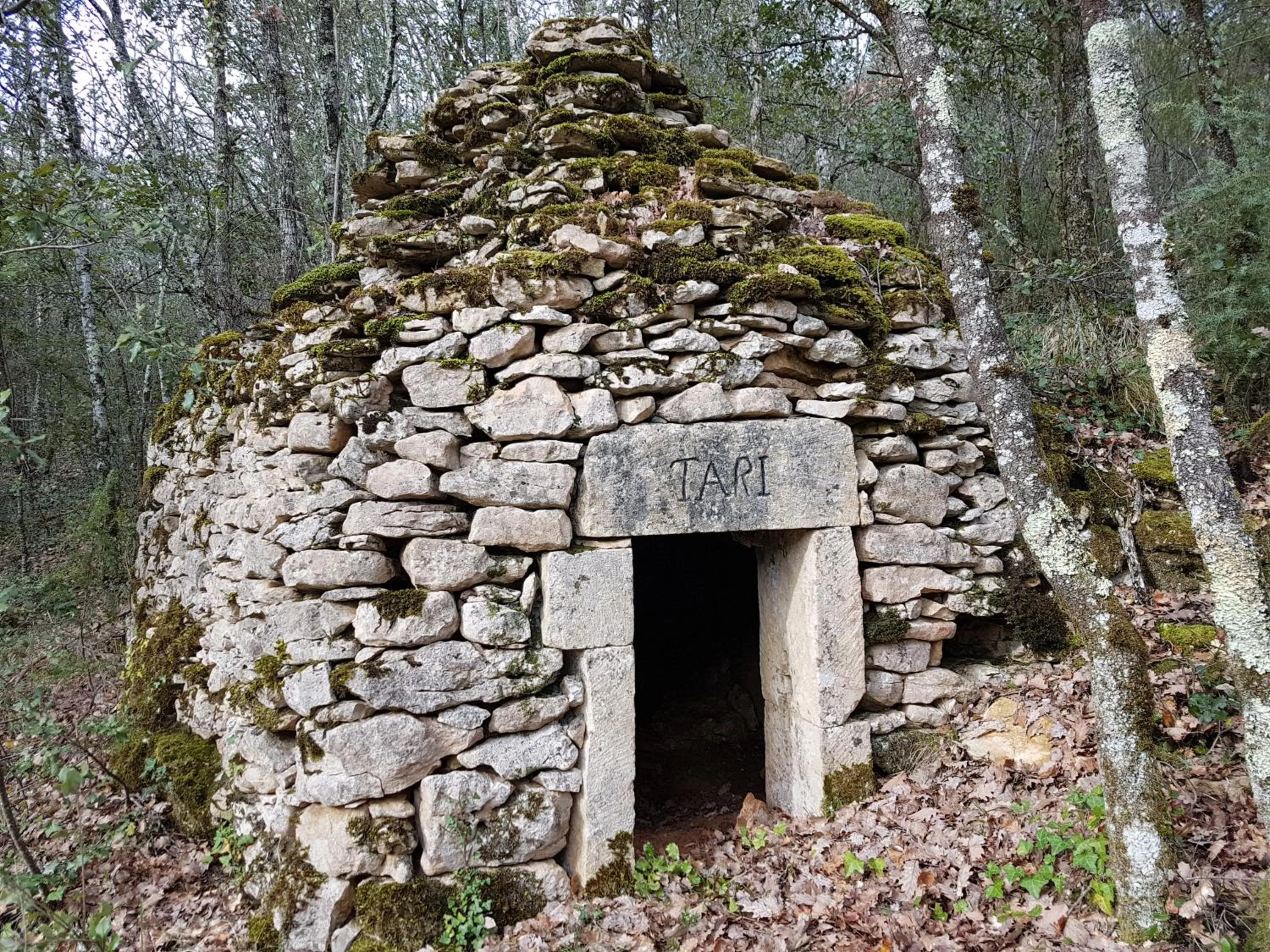 Garden in La Maison de Tari