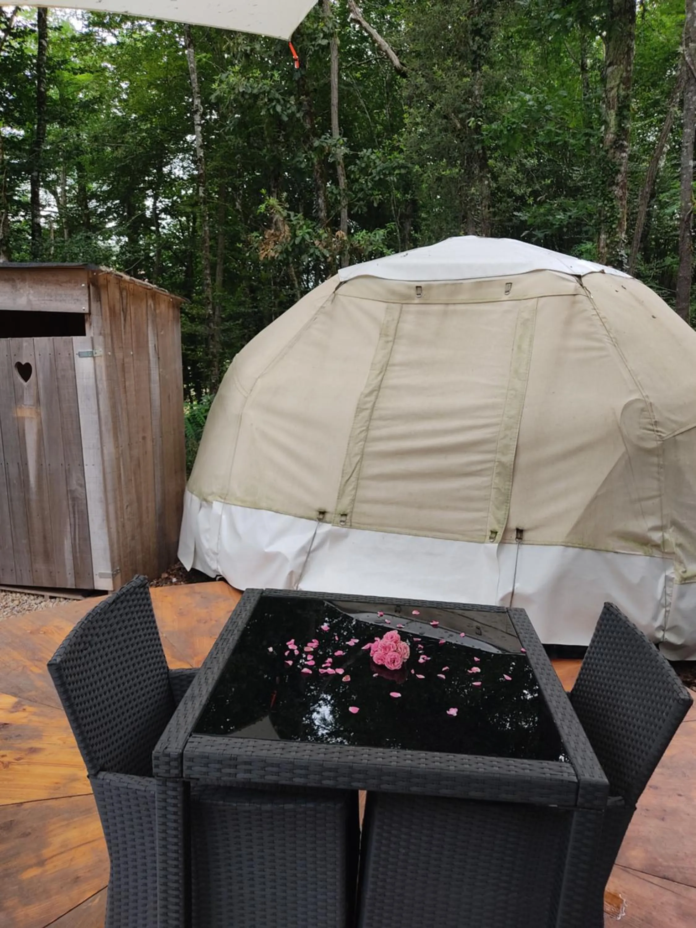 View (from property/room) in La Maison de Tari