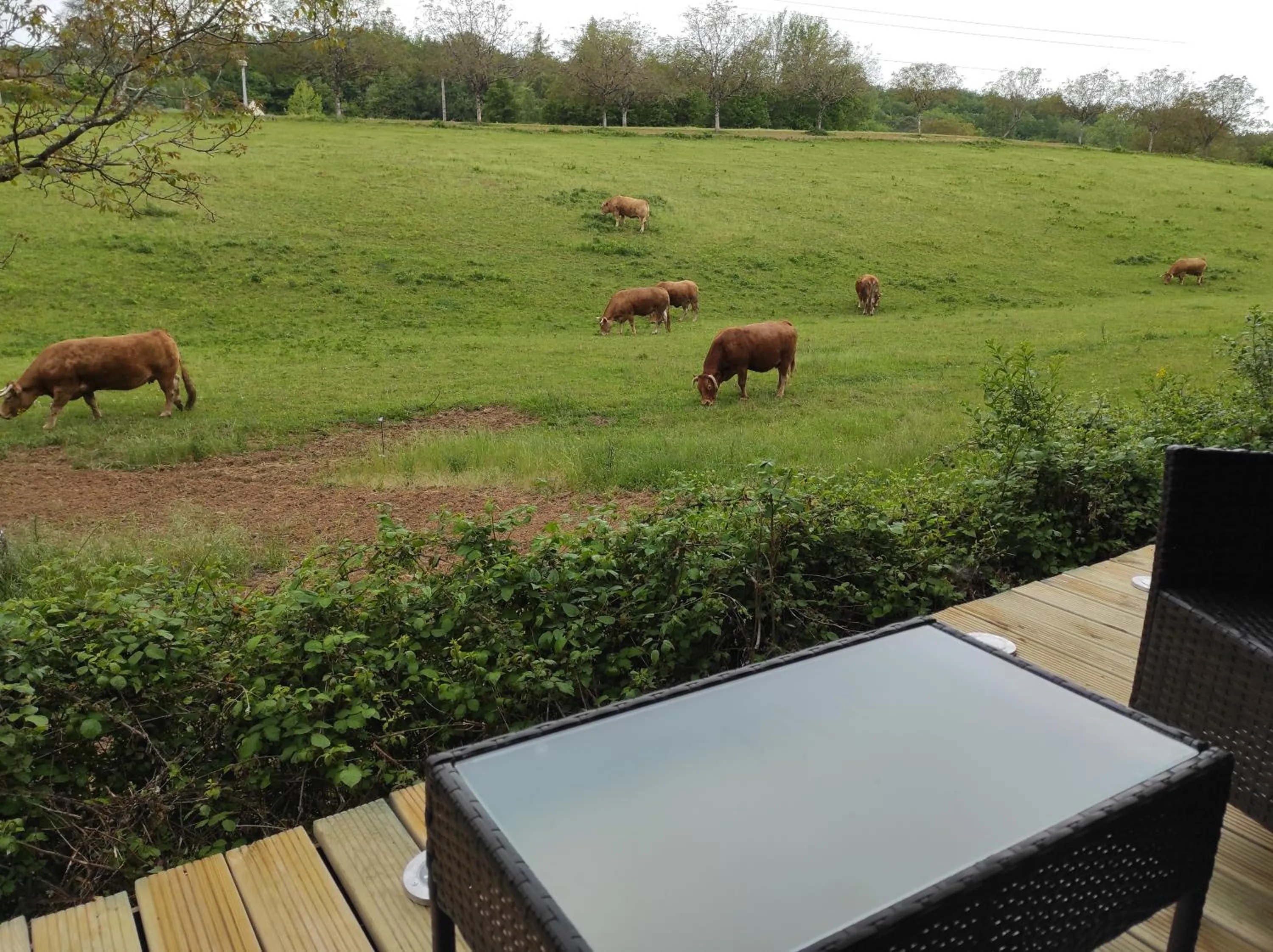 View (from property/room) in La Maison de Tari