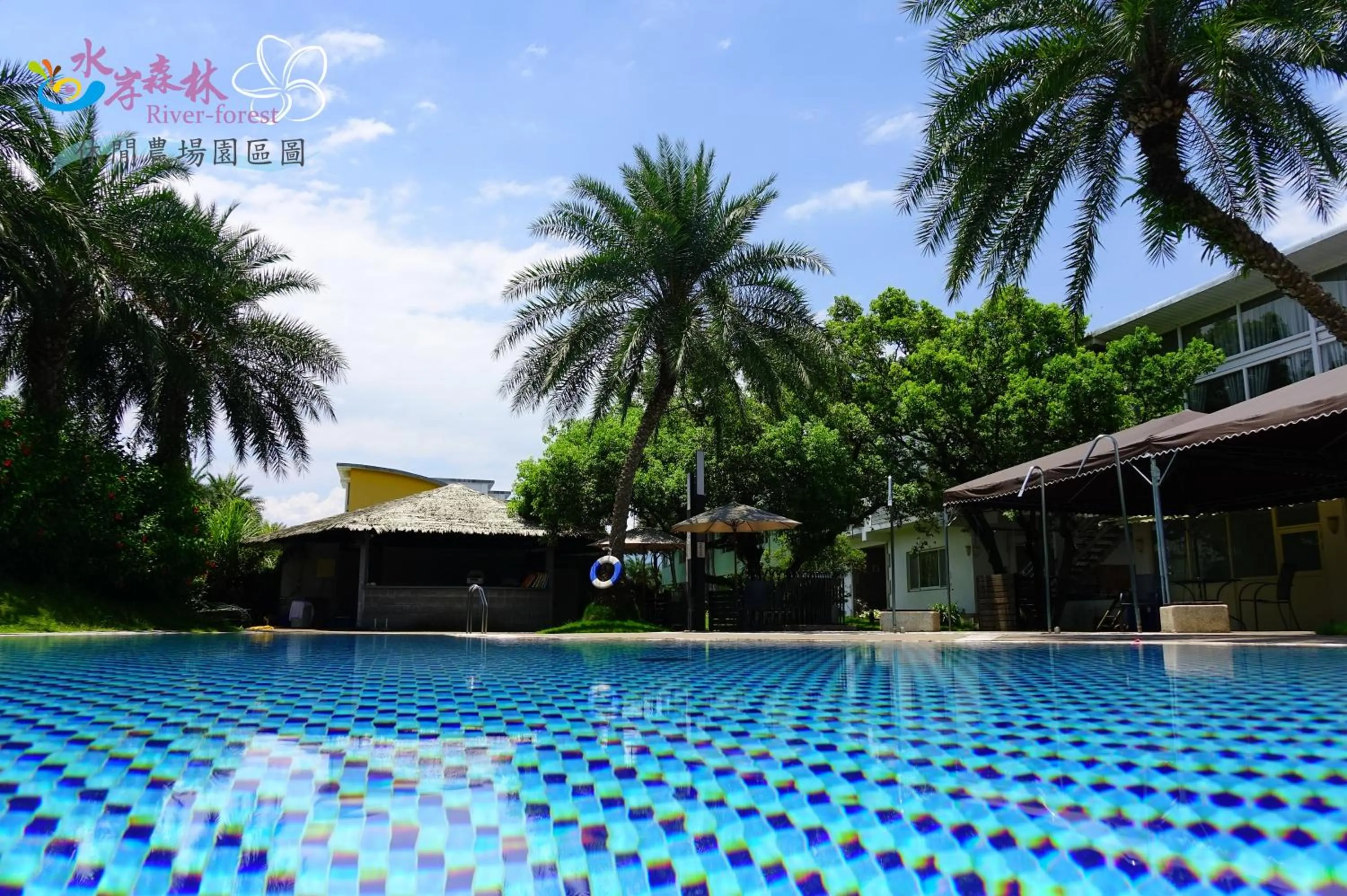Swimming pool in River Forest Leisure Farm
