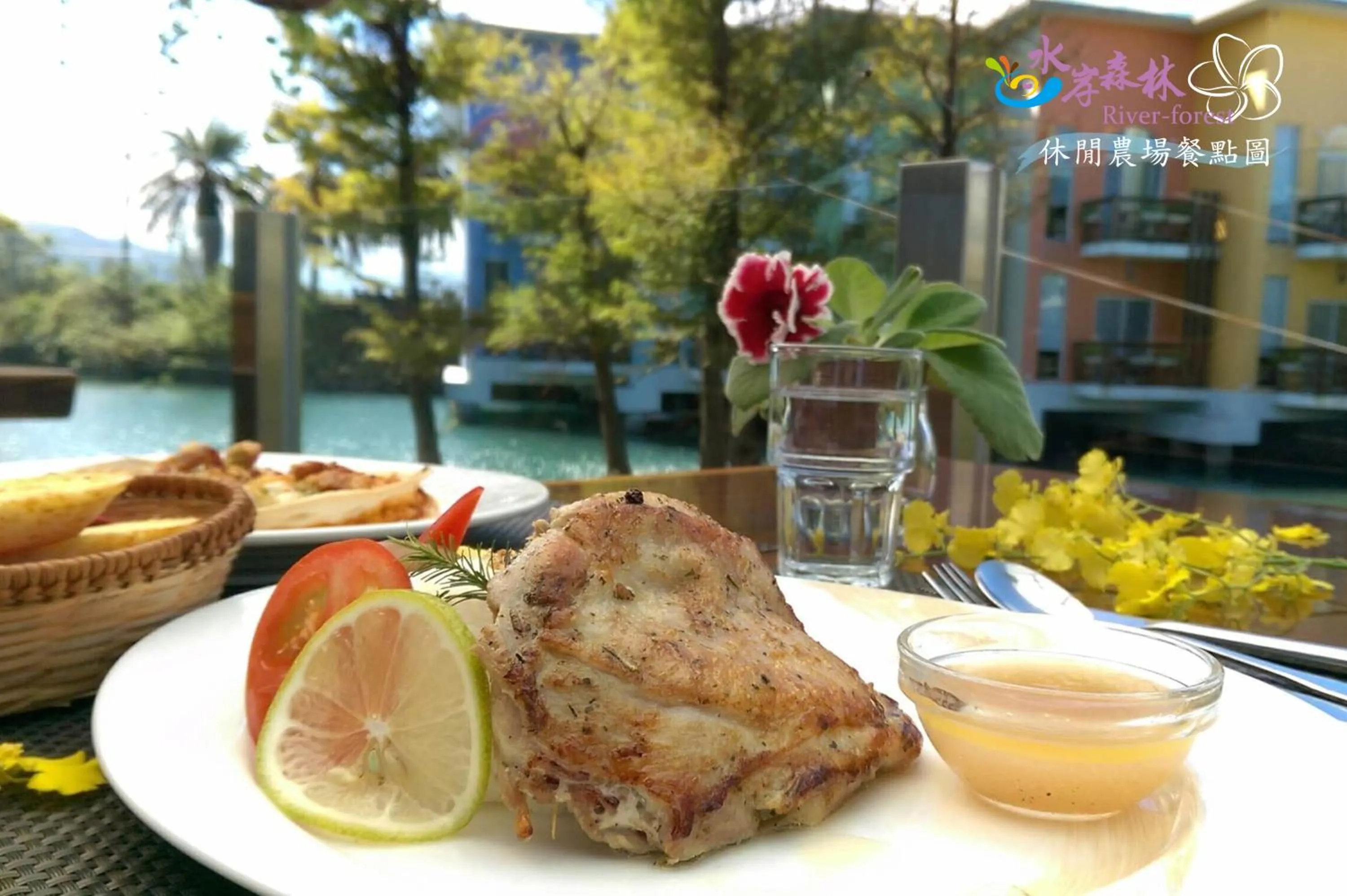 Restaurant/places to eat in River Forest Leisure Farm