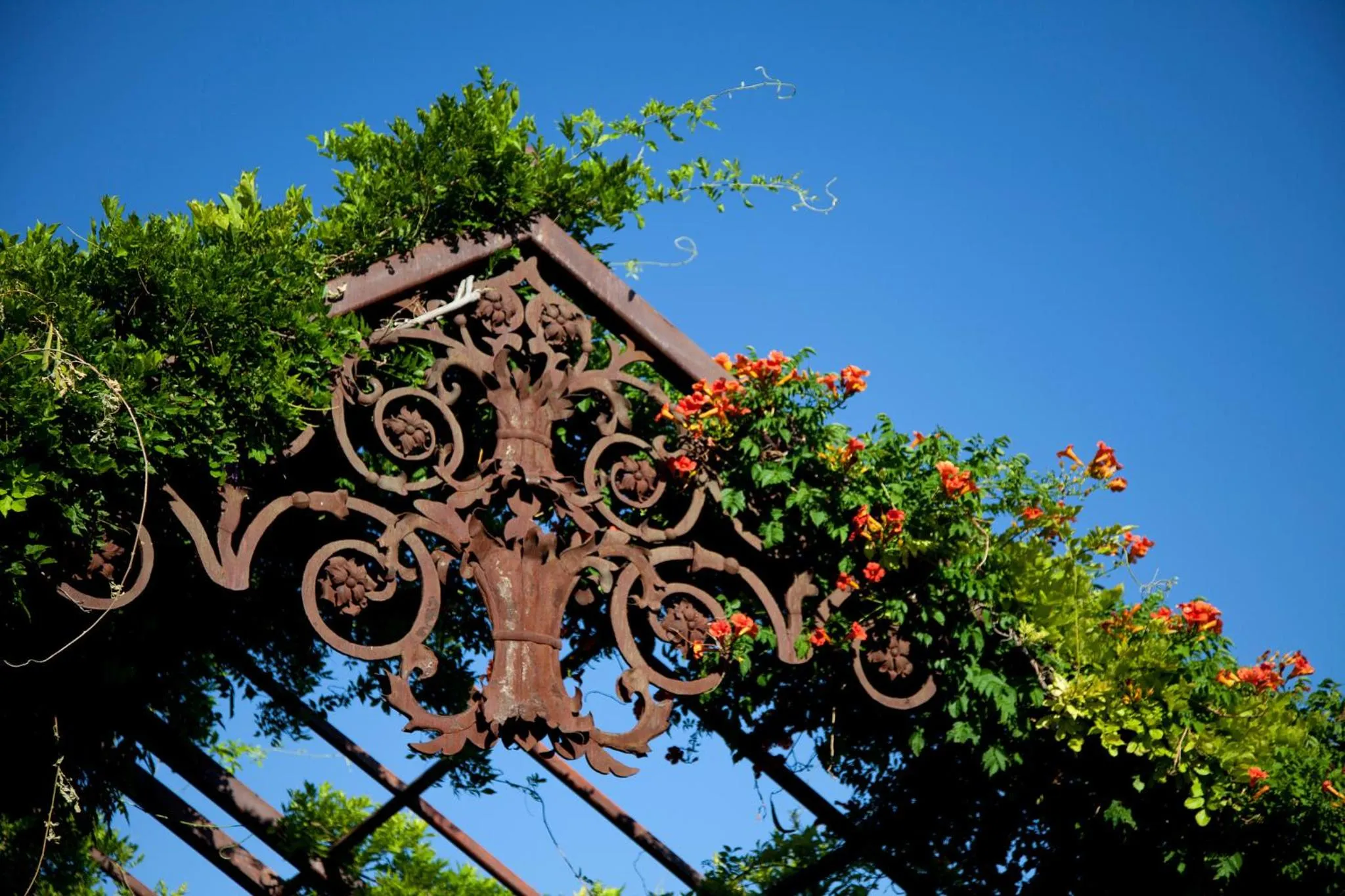 Decorative detail in Hotel Albuquerque At Old Town