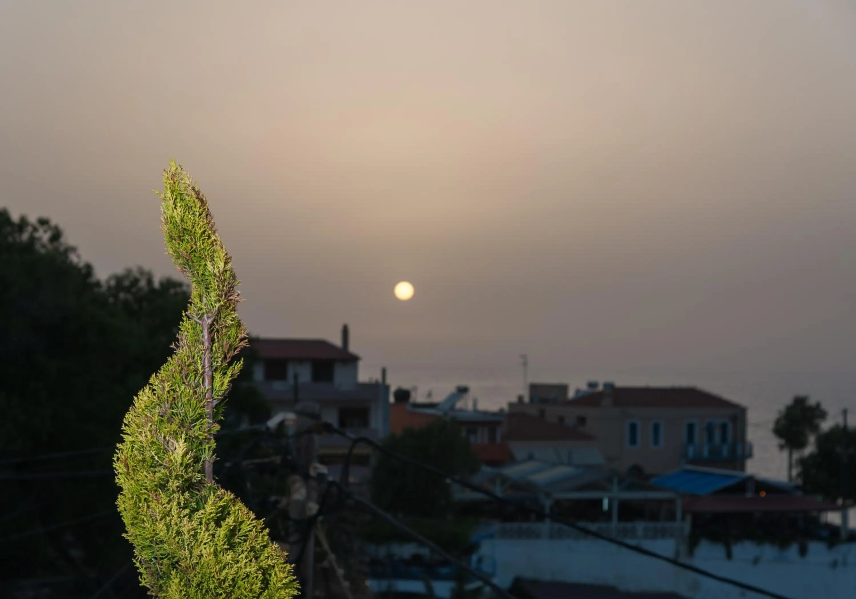 View (from property/room) in Castello Apartments