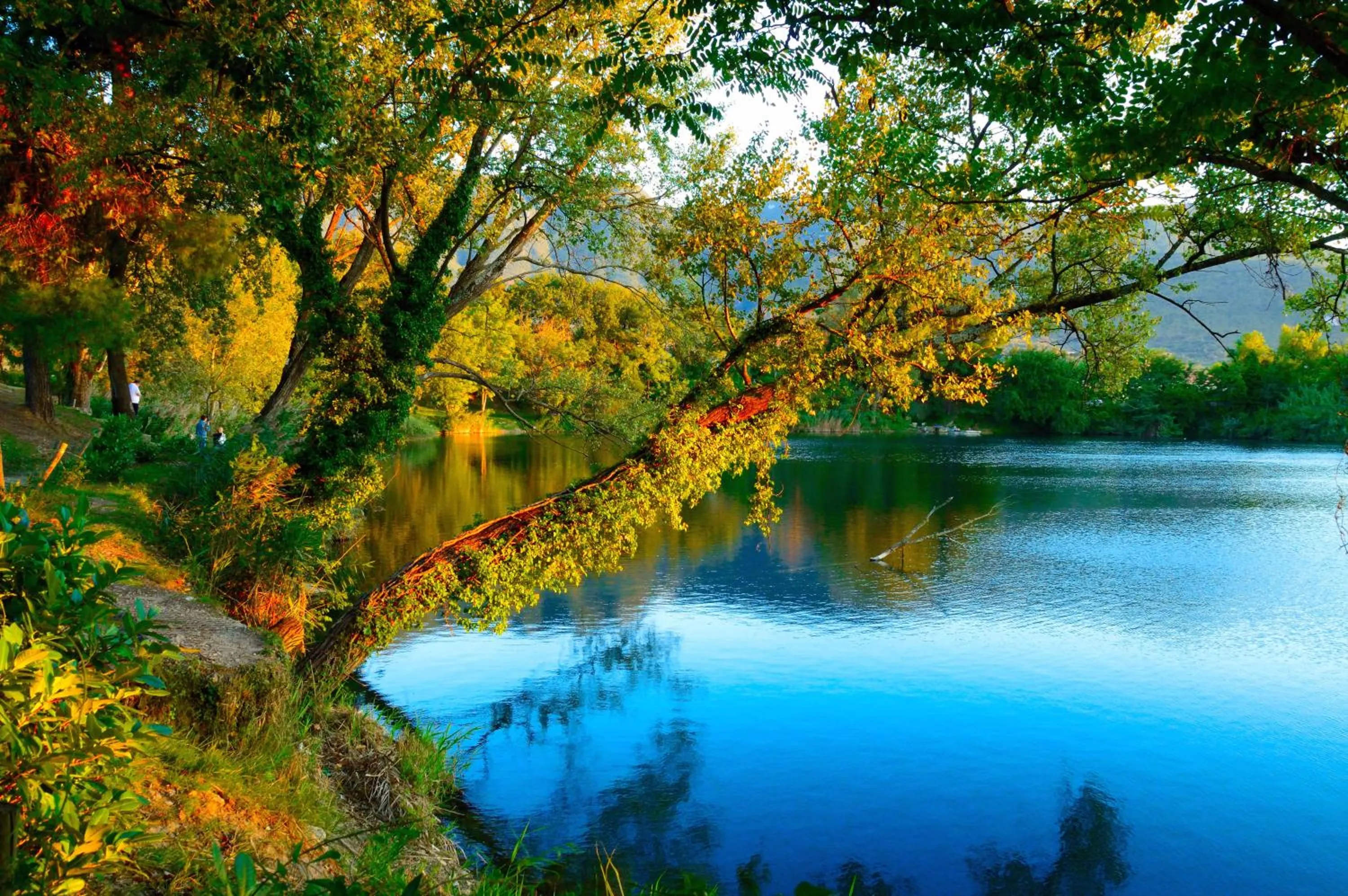 Natural landscape, Lake View in Hotel Del Lago