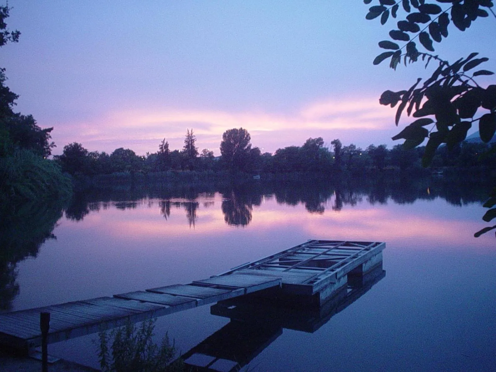 Natural landscape in Hotel Del Lago