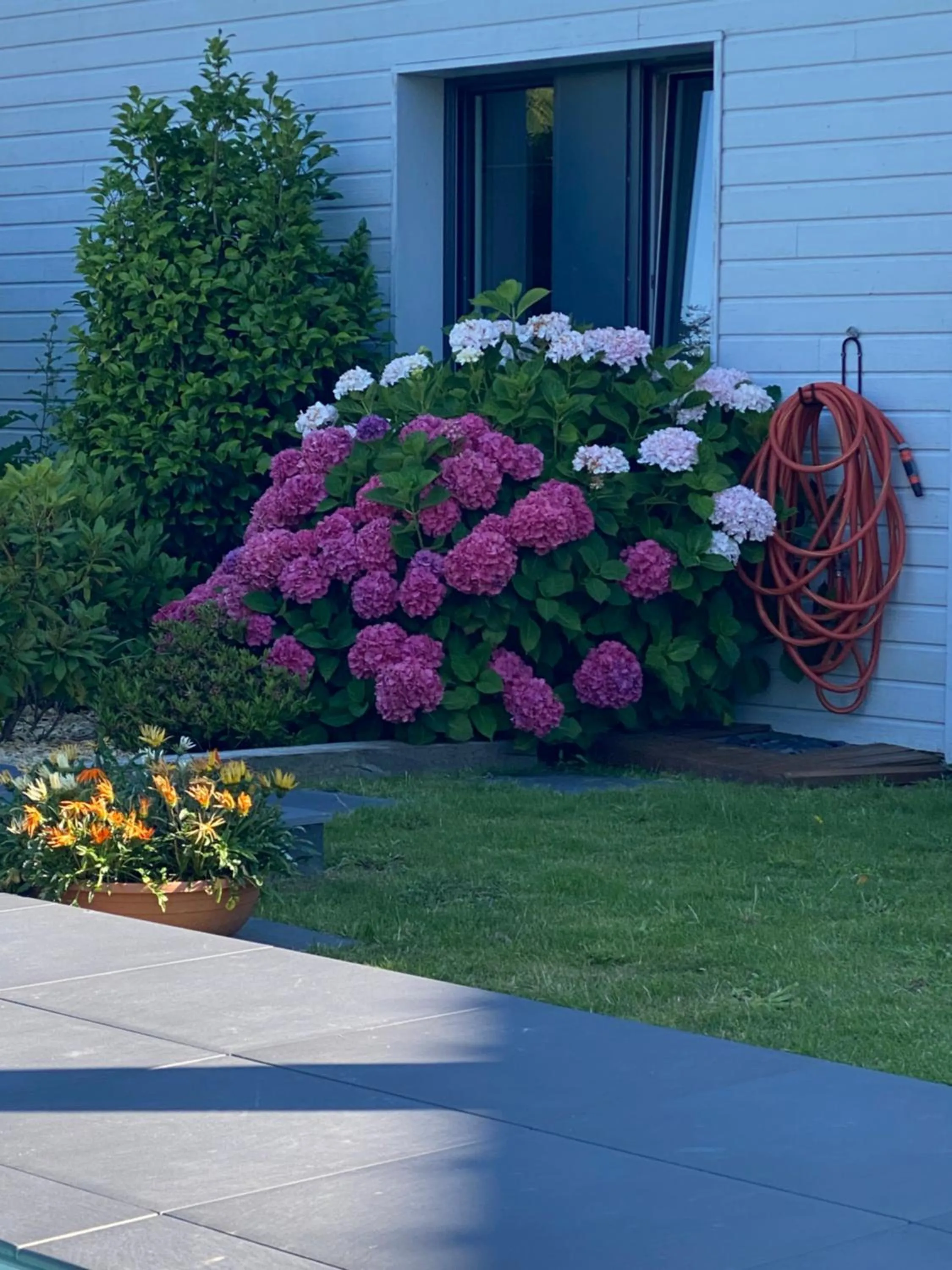 Garden in LES EVENS La Baule