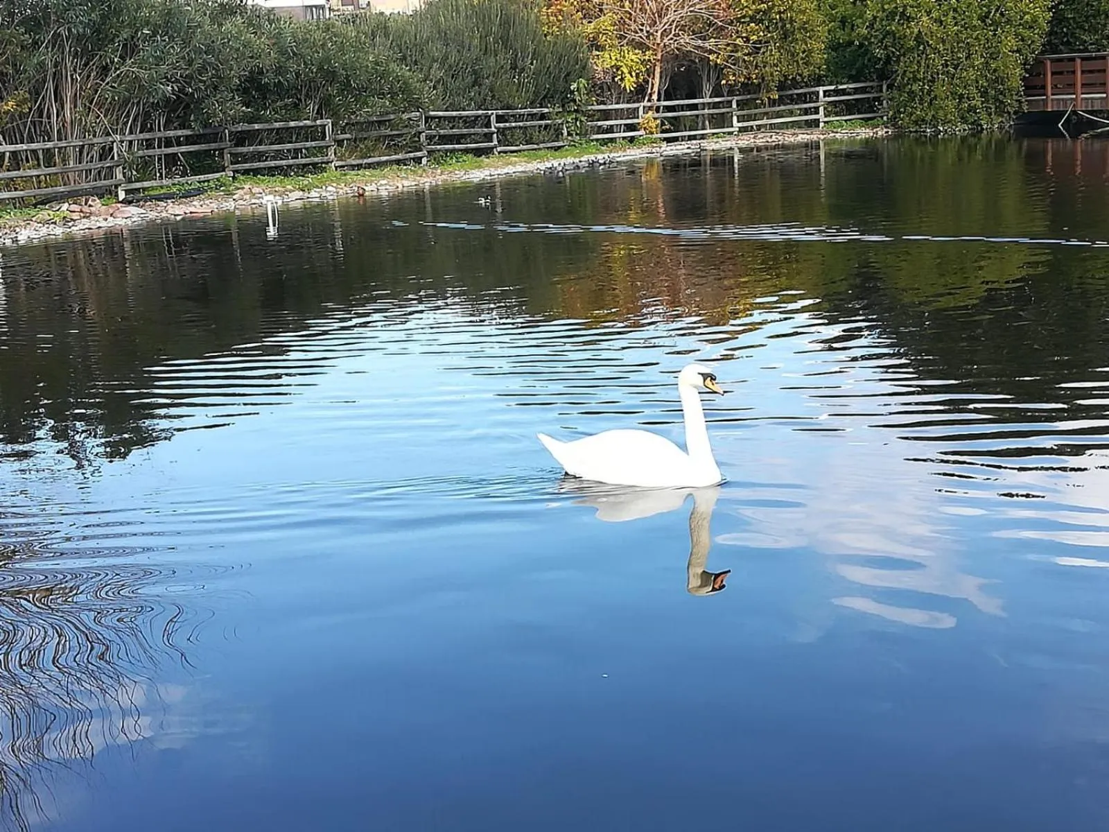 Nearby landmark in Nùe Rooms