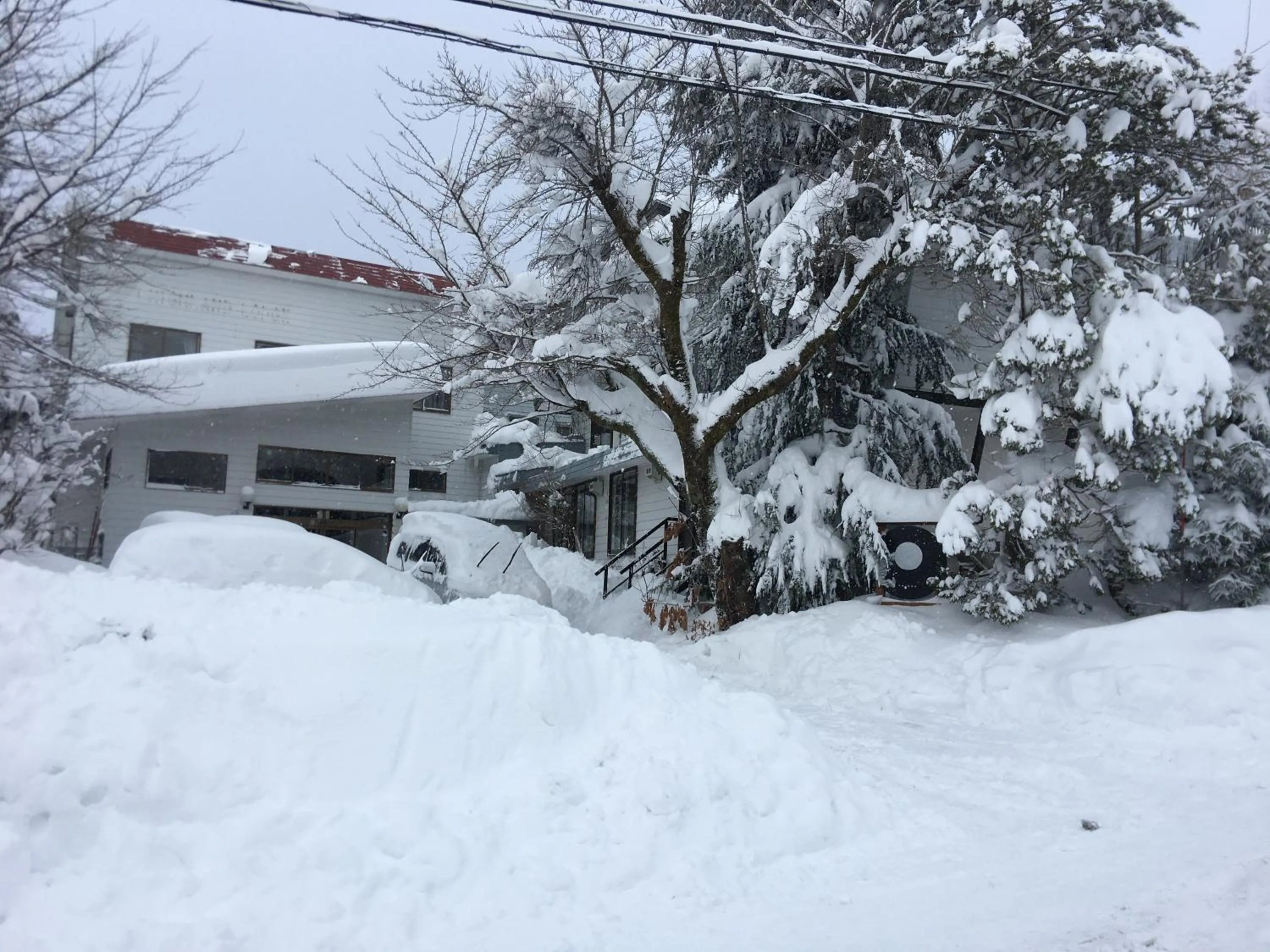 HA-MON Slope Side Hotel and Private Chalet