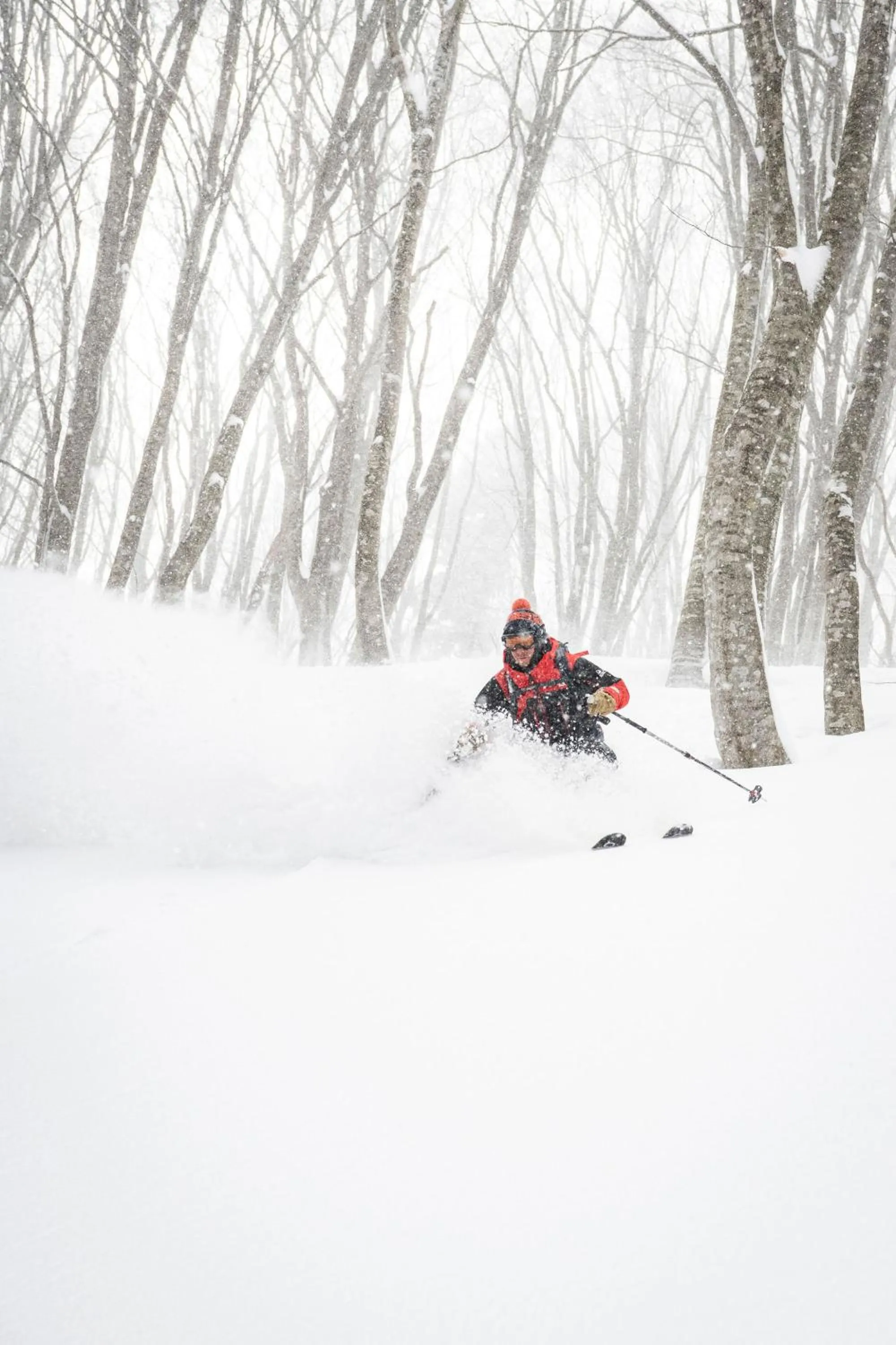 HA-MON Slope Side Hotel and Private Chalet