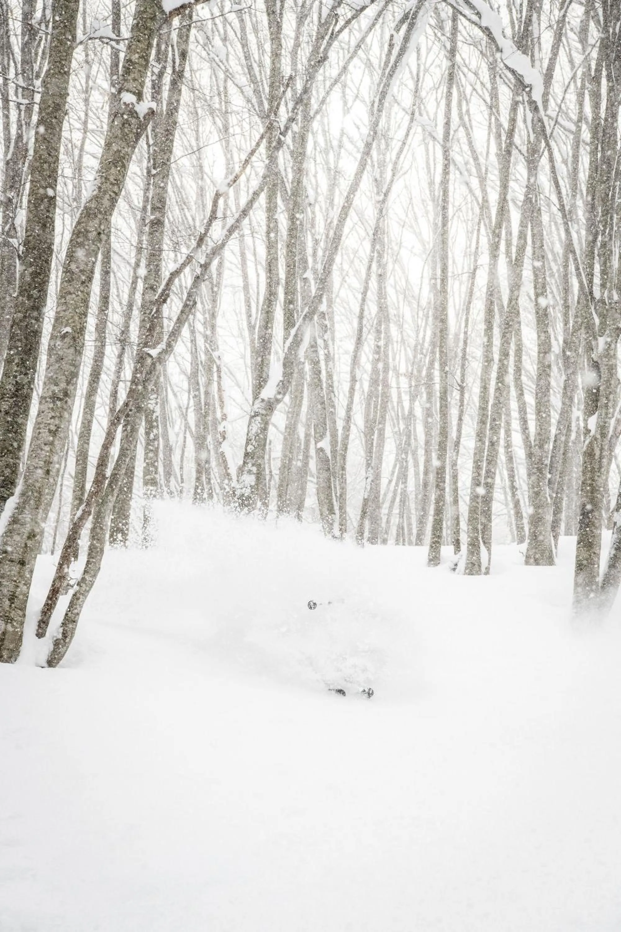 HA-MON Slope Side Hotel and Private Chalet