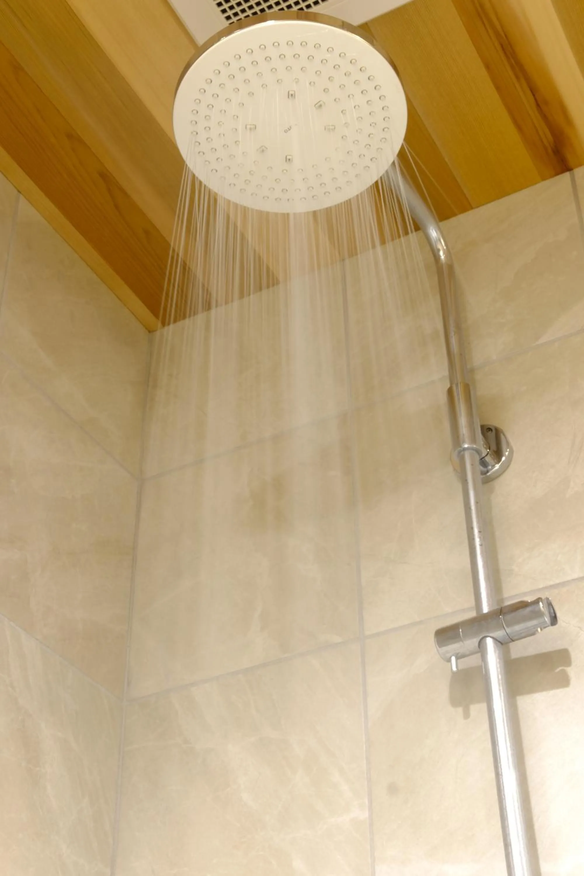 HA-MON Slope Side Hotel and Private Chalet