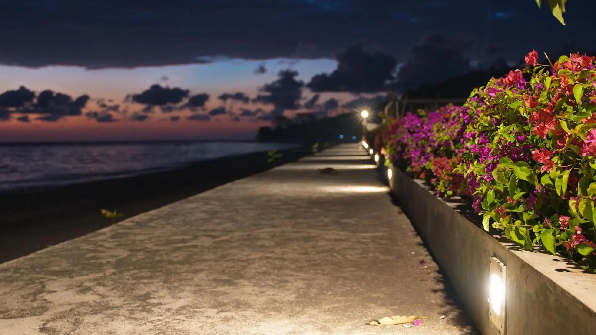 View (from property/room) in Seamount Hotel Amed