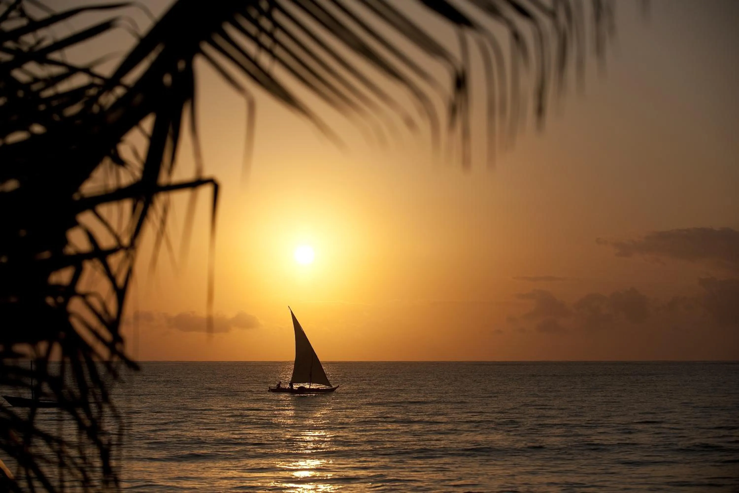 Natural landscape in Neptune Palm Beach Boutique Resort & Spa - All Inclusive