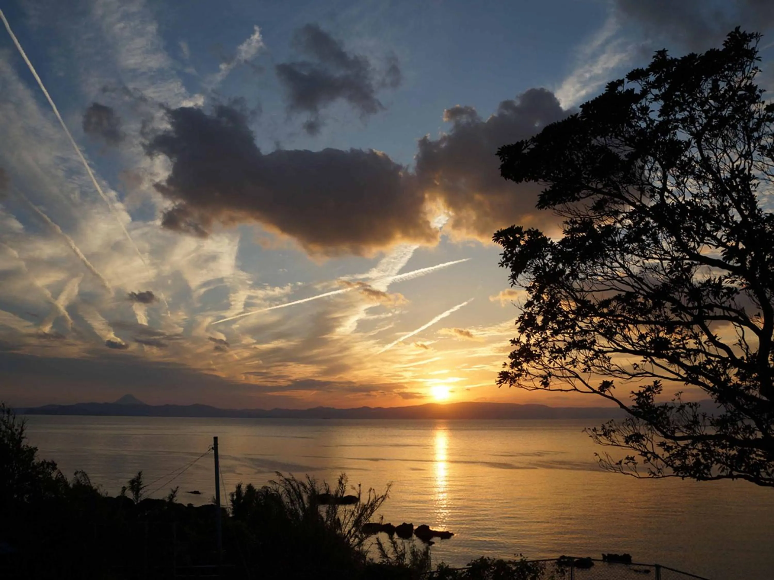 YUKUSA OHSUMI UMI no GAKKO