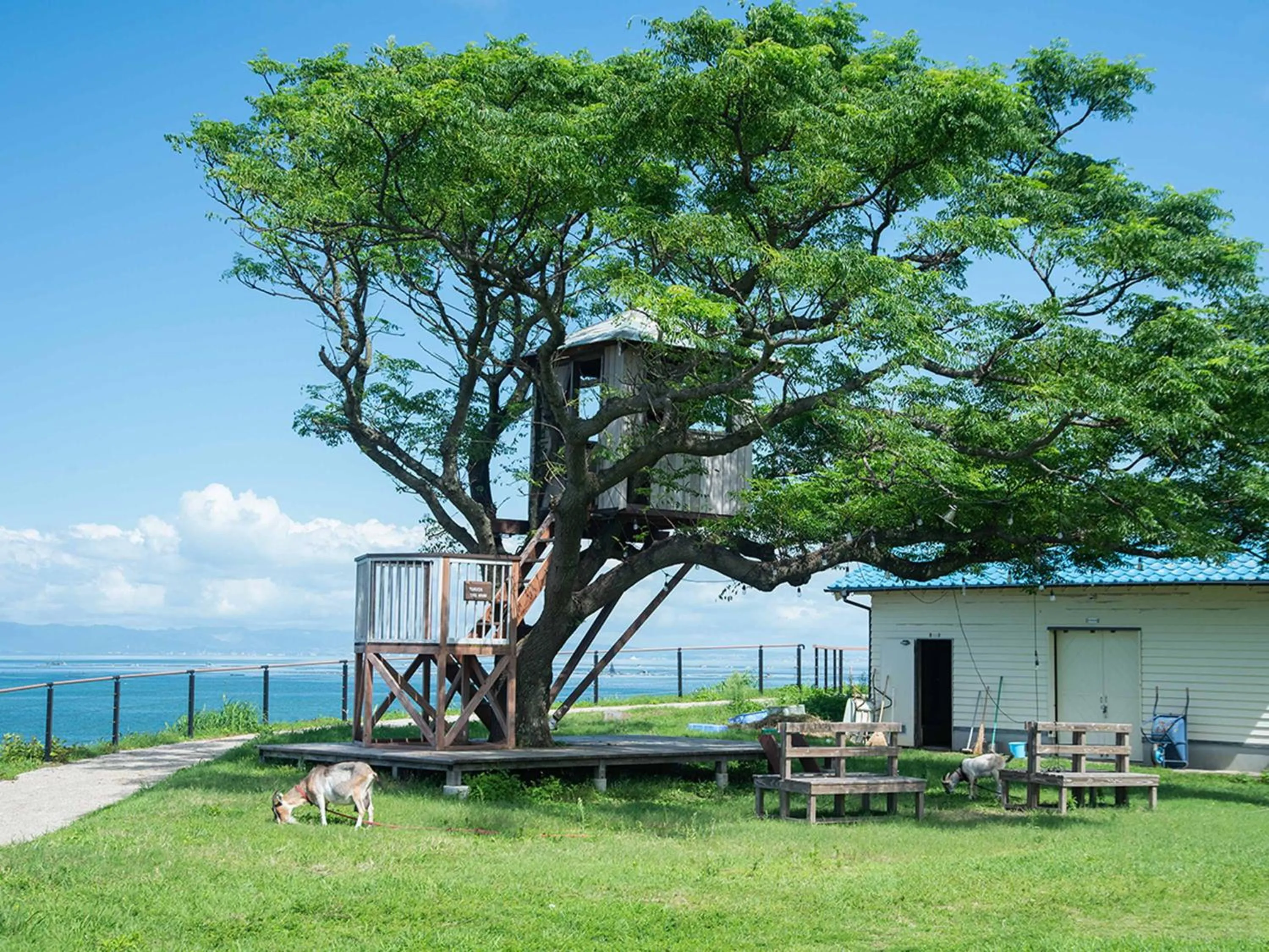 Balcony/Terrace in YUKUSA OHSUMI UMI no GAKKO