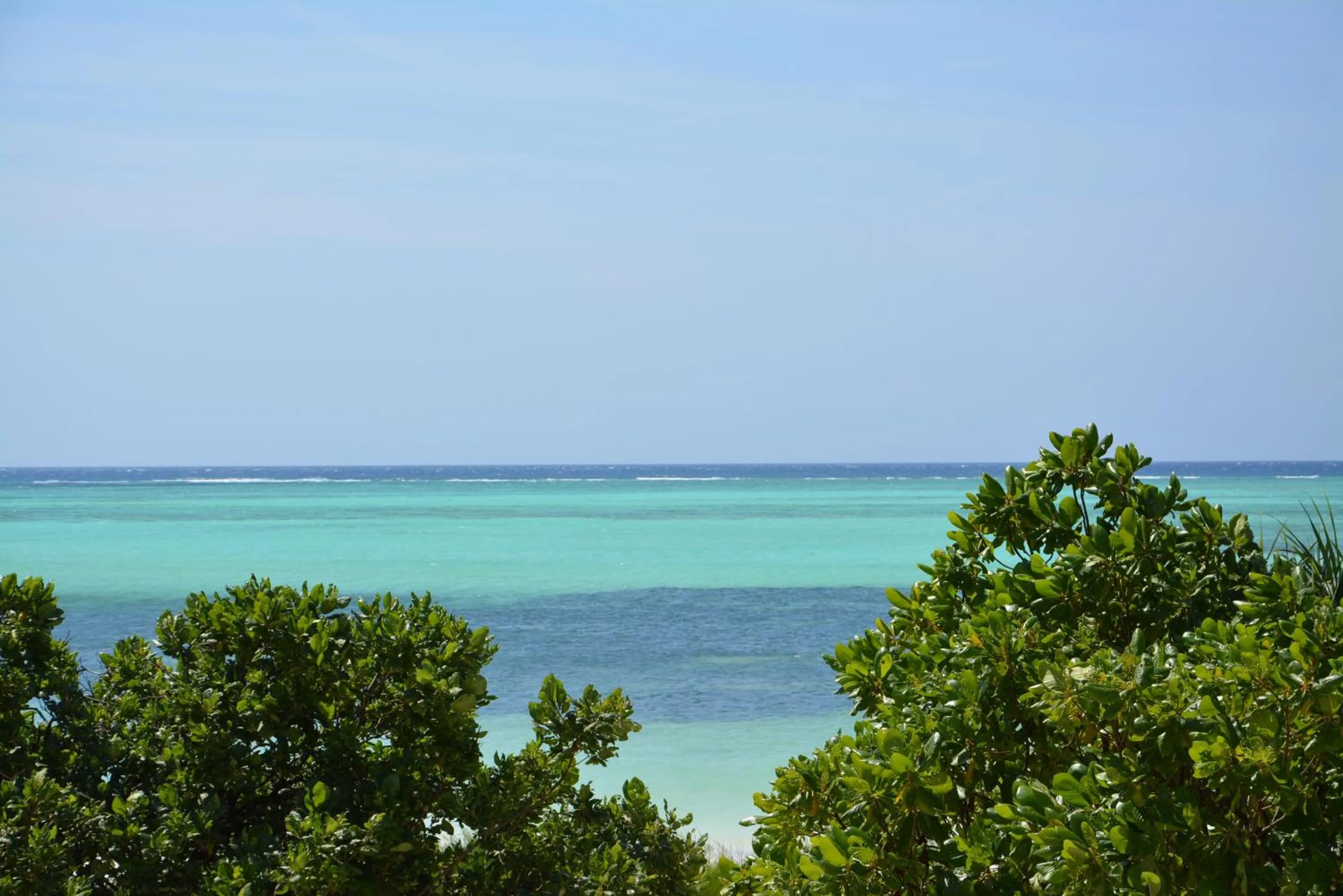 Day in Neptune Pwani Beach Resort & Spa Zanzibar - All Inclusive