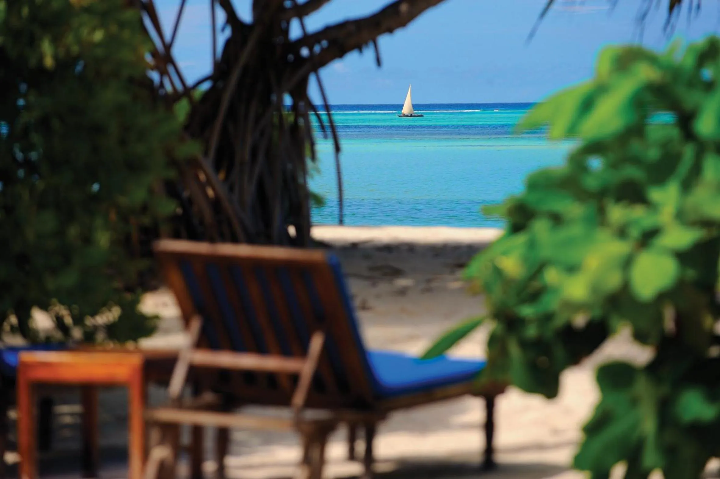 Beach in Neptune Pwani Beach Resort & Spa Zanzibar - All Inclusive